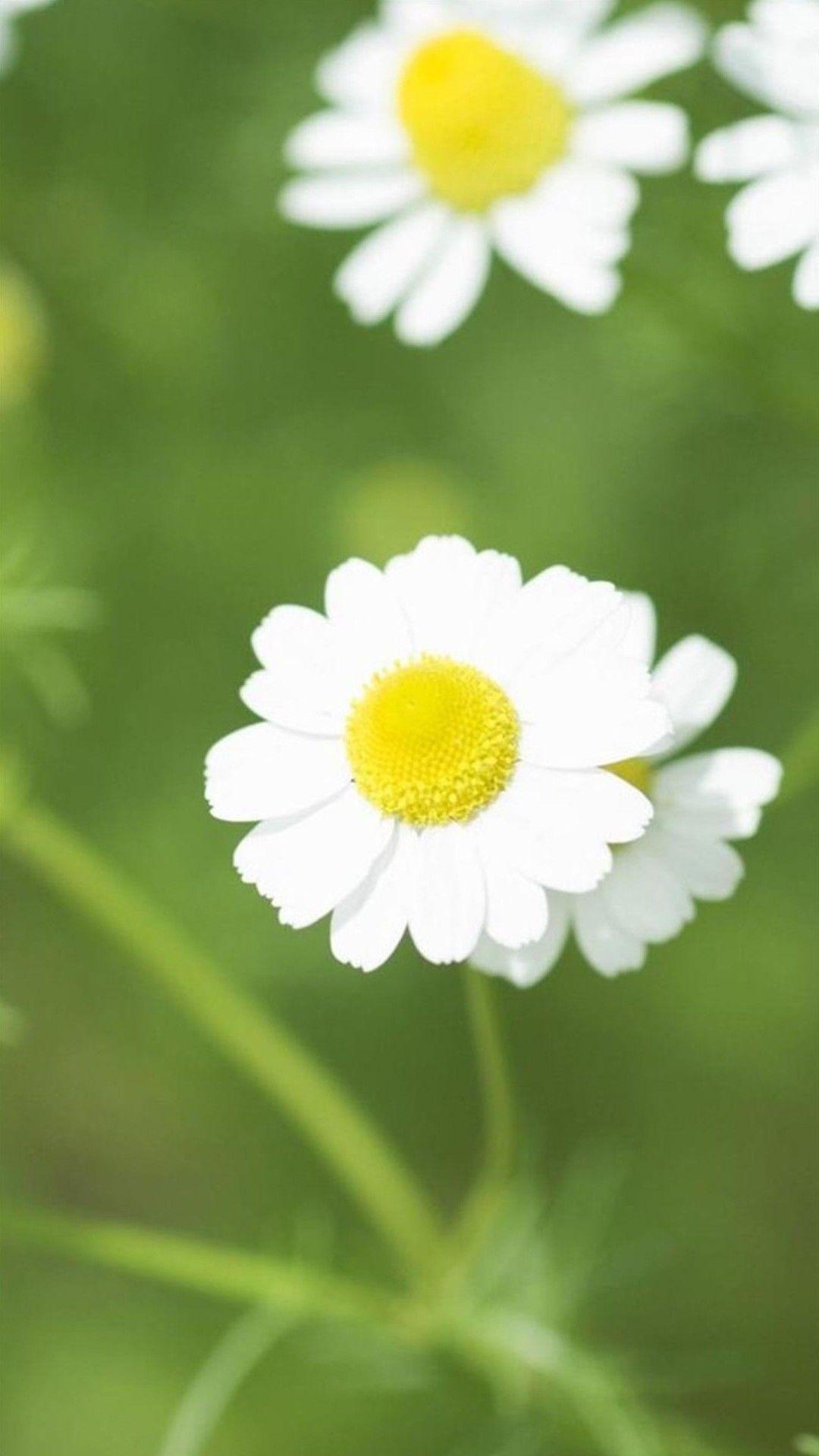 1080x1920 Bing Memorial Day Wallpaper .