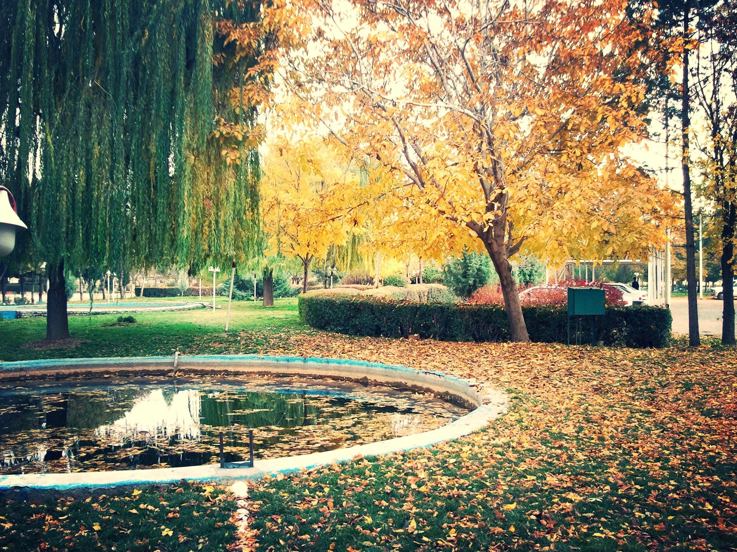 2560x1920 Iran, Kermanshah, Fall, Trees, Nature Wallpaper HD / Desktop