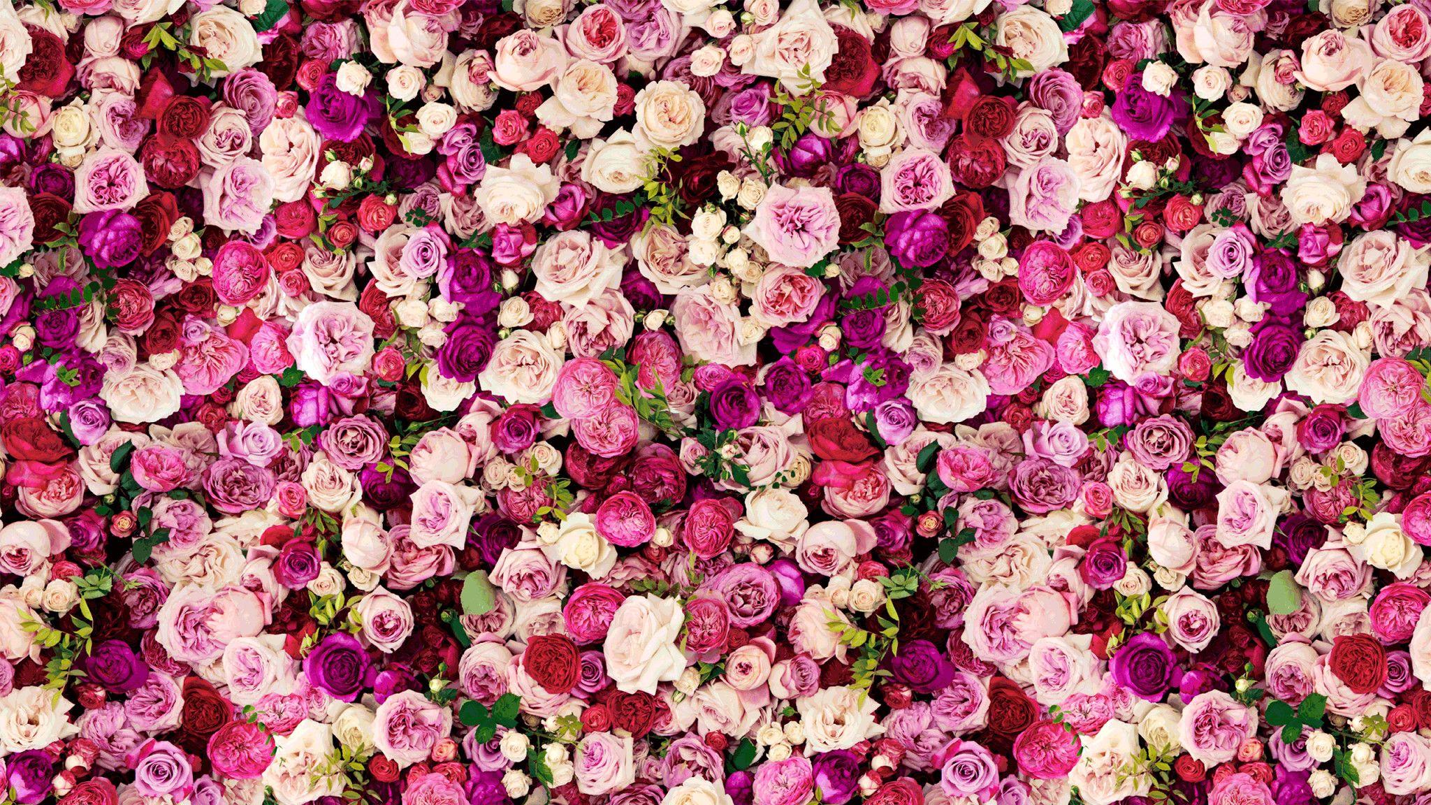 2048x1152 Kate Spade Christmas Desktop Wallpaper .