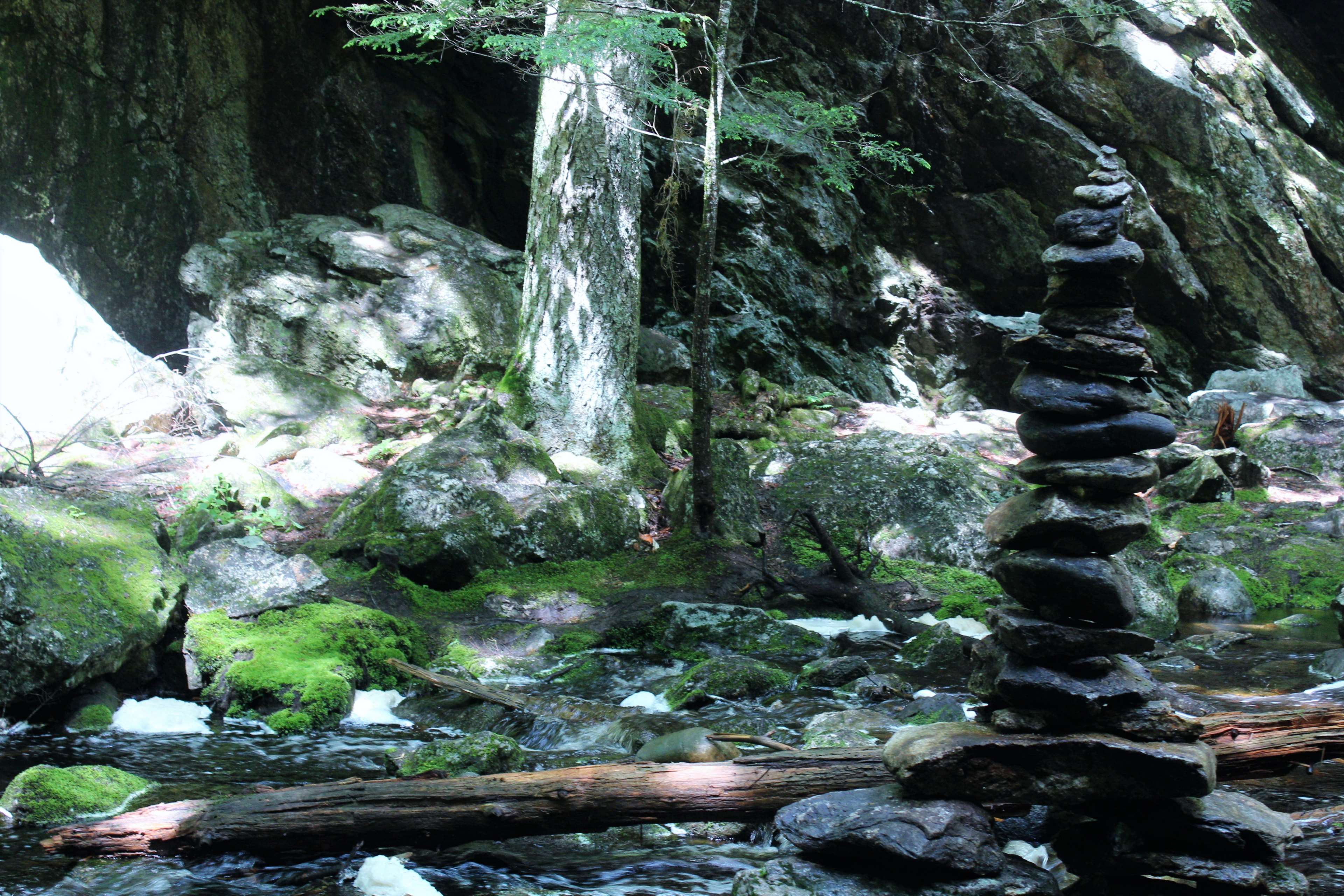 3840x2561 meditation, stone, trees, zen 4k wallpaper and background
