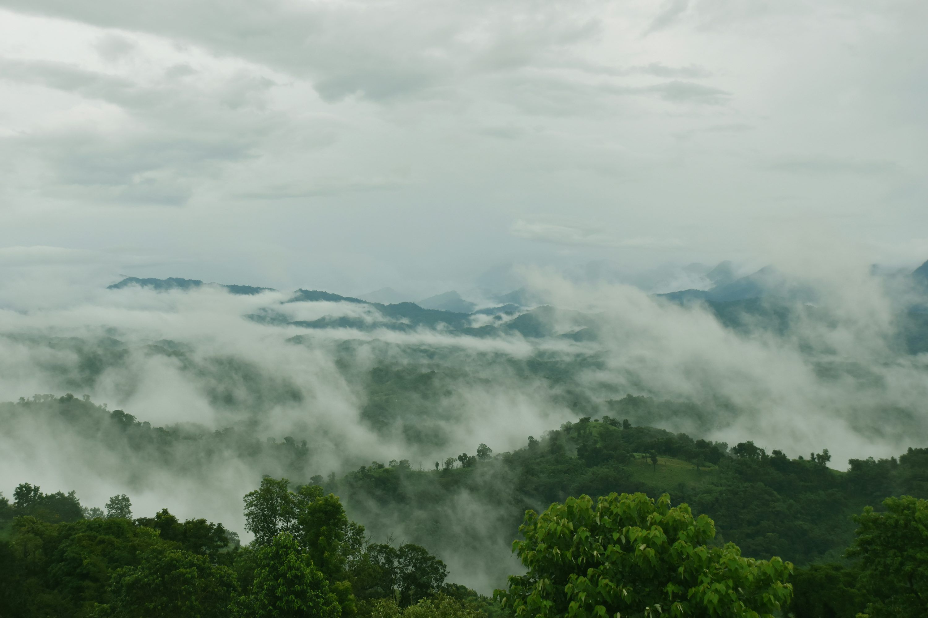 3000x2000 Sajek Valley Picture. Download Free Image
