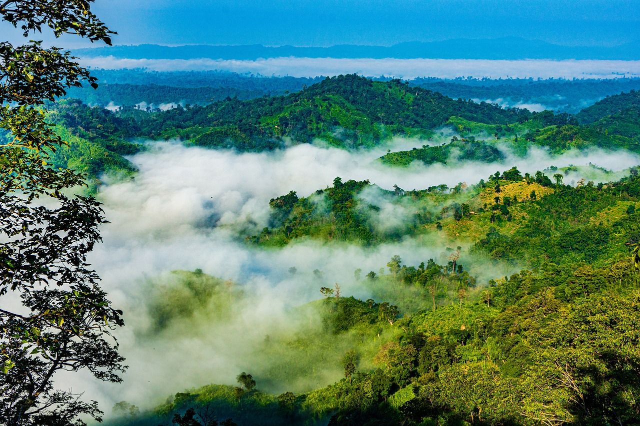 1280x853 Bangladesh Nature Sajek
