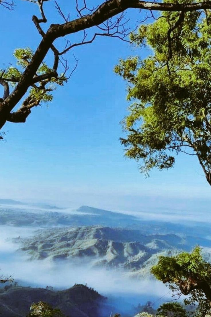 736x1104 Sajek Valley