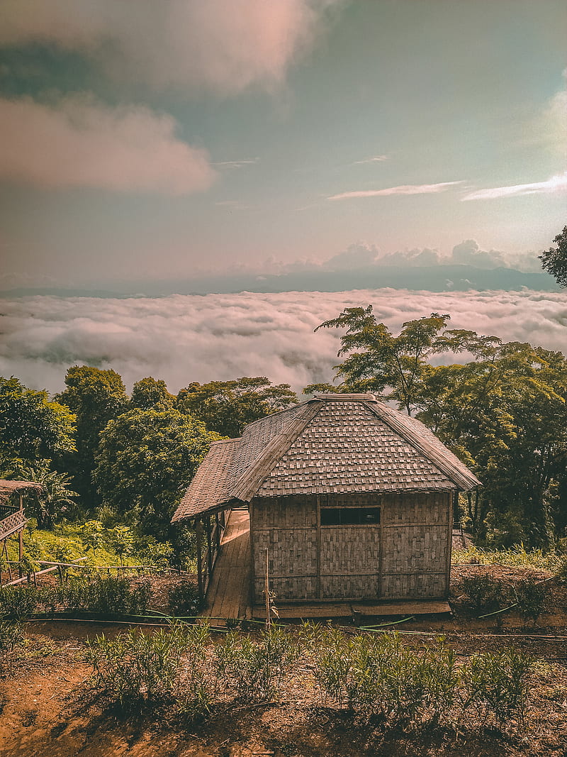 800x1067 Sajek house, beach, cottage, home, natural, nature, studio, HD phone wallpaper