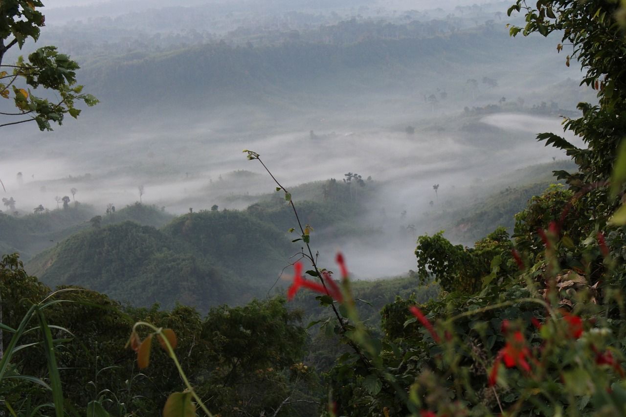 1280x853 Nature, sajek valley, bangladesh, free picture, free photo