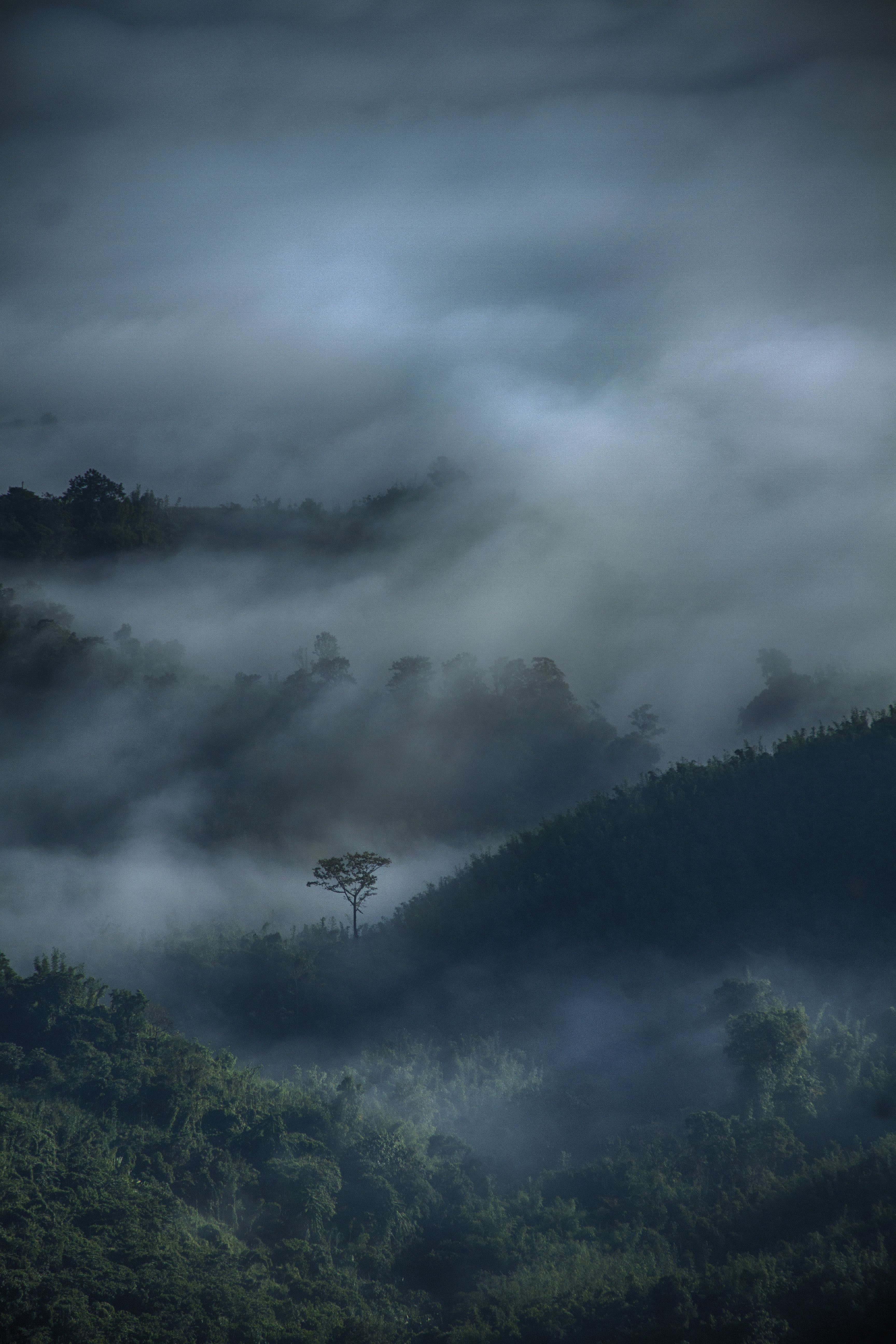 3456x5184 Amidst I Stand Alone (Sajek Valley)
