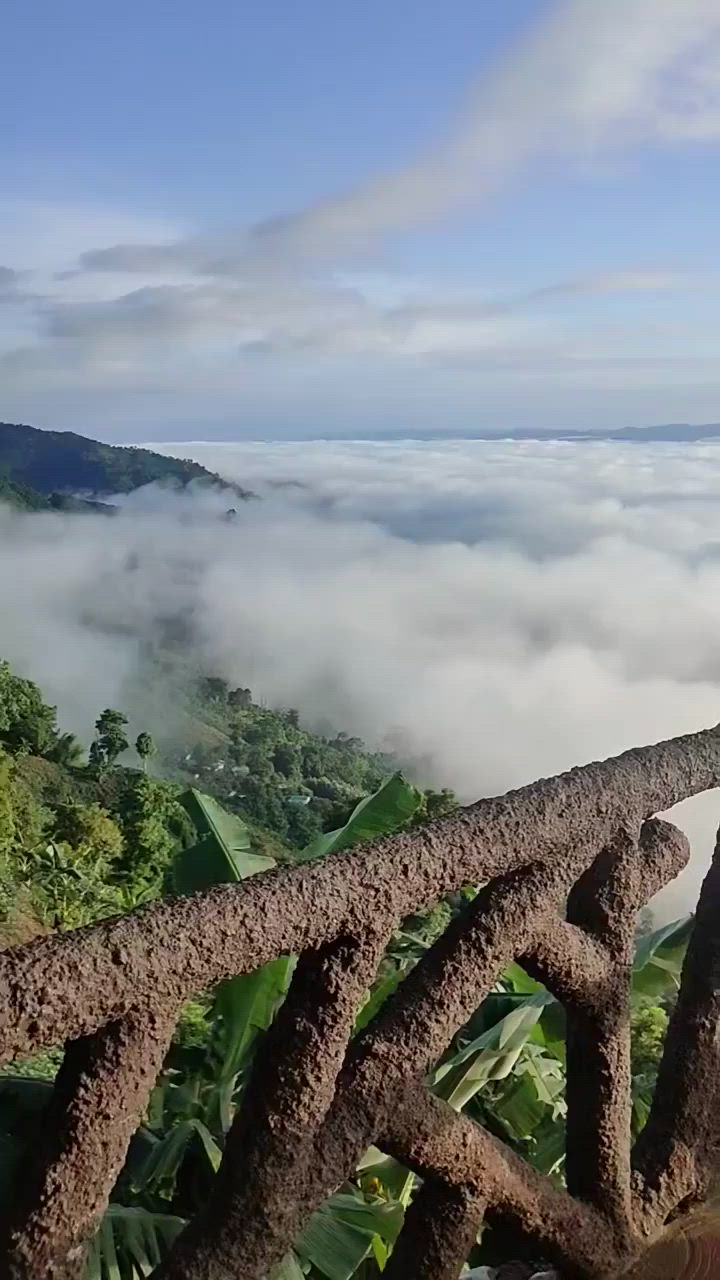 720x1280 sajek valley is the very beautiful place in Bangladesh