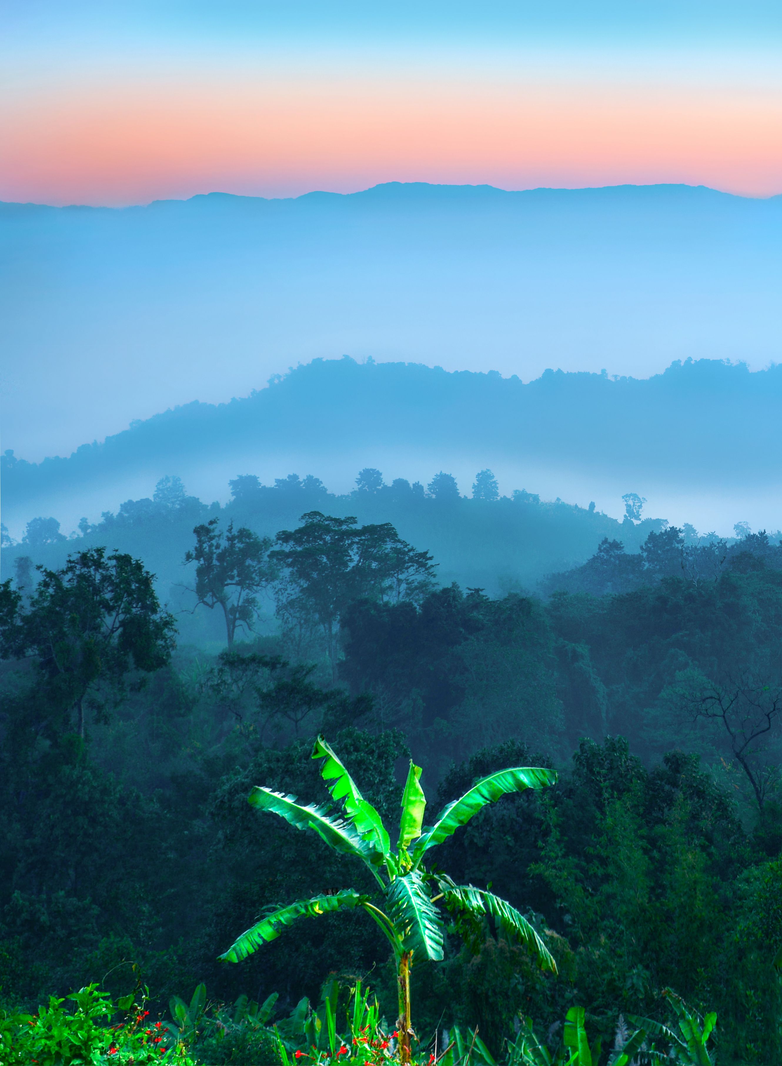 2660x3624 Sajek Valley Rangamati