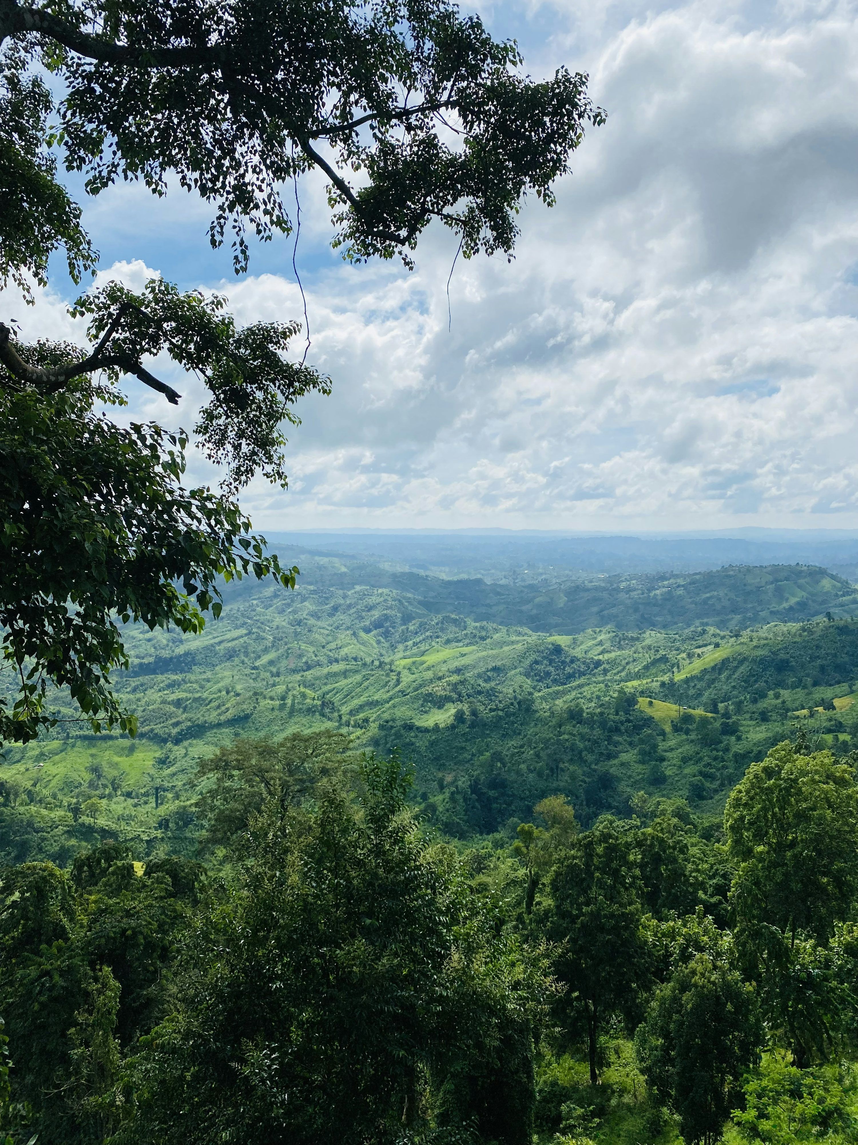 3000x4000 Sajek Valley Picture. Download Free Image