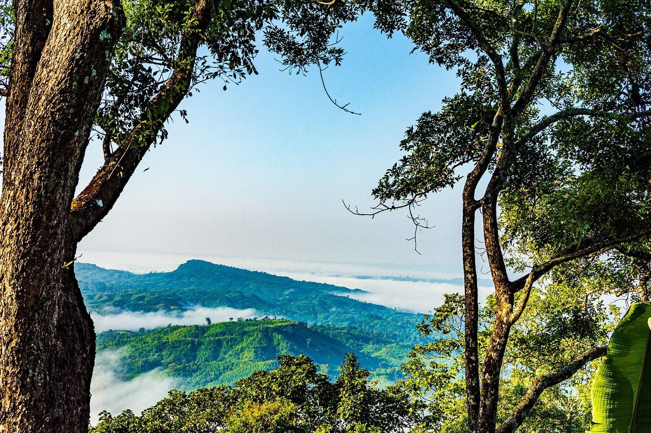 1280x853 Bangladesh Nature Sajek