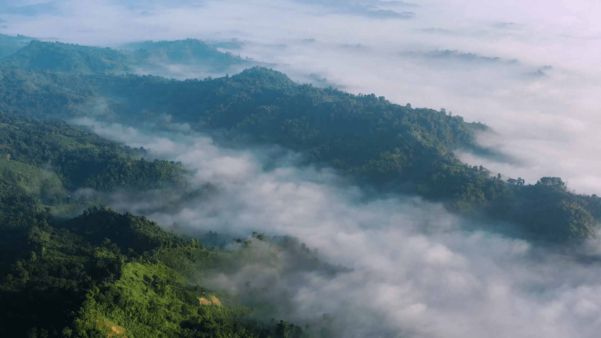 1920x1080 Aerial view of Sajek valley shrouded in mist, Bangladesh
