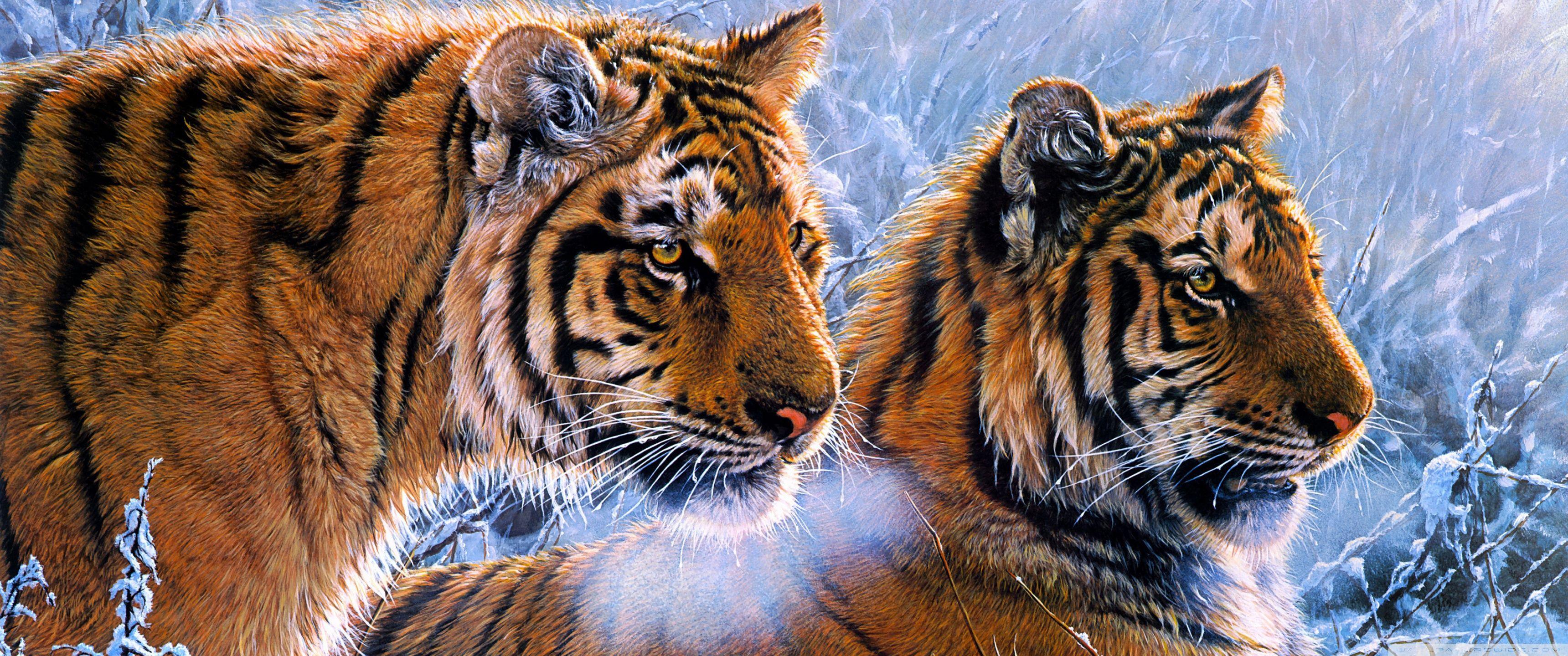 3440x1440 Tigers HD Wallpaper .itl.cat