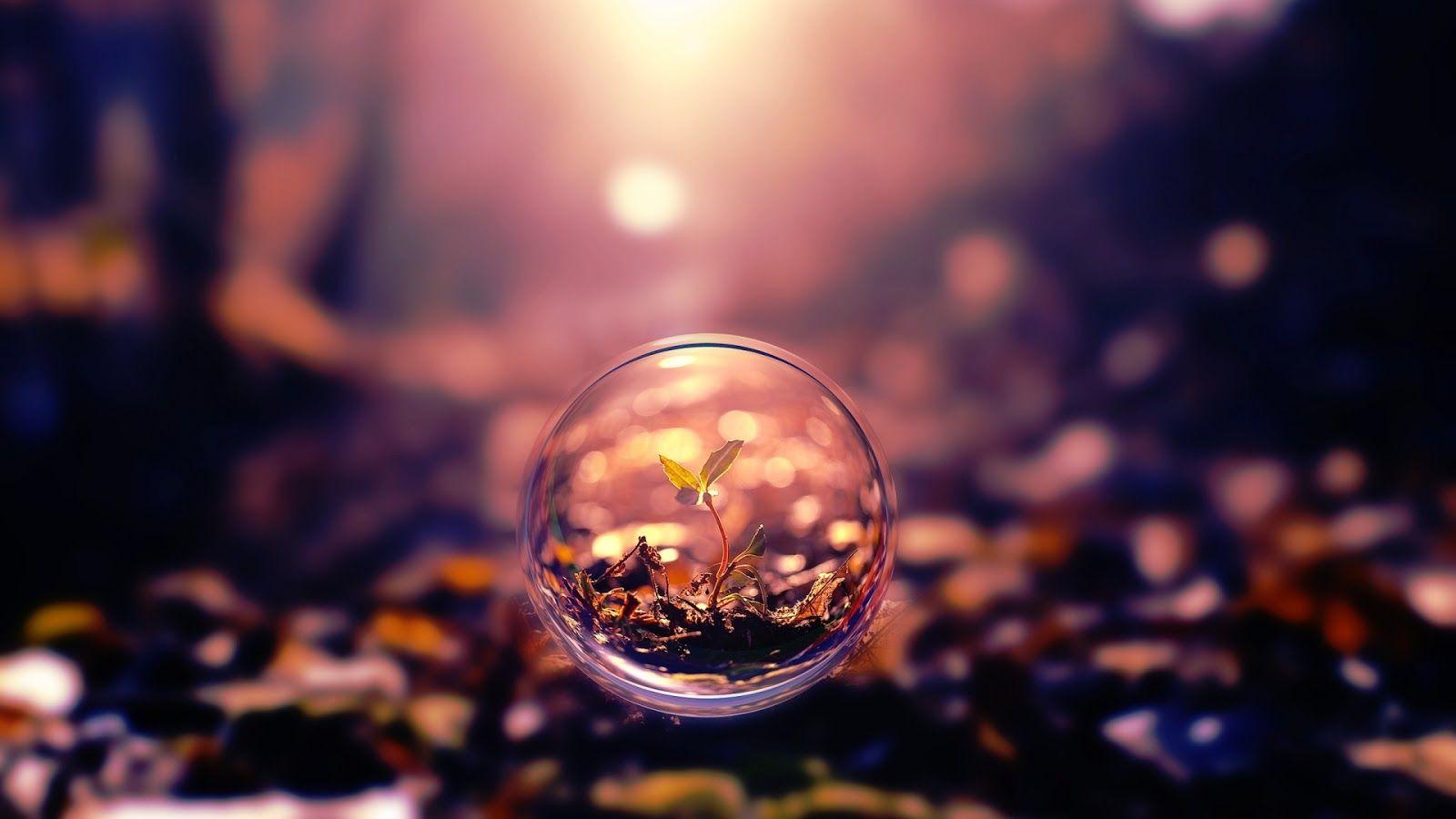 1600x900 Wallpaper: Wallpaper HDcrt Homepage.