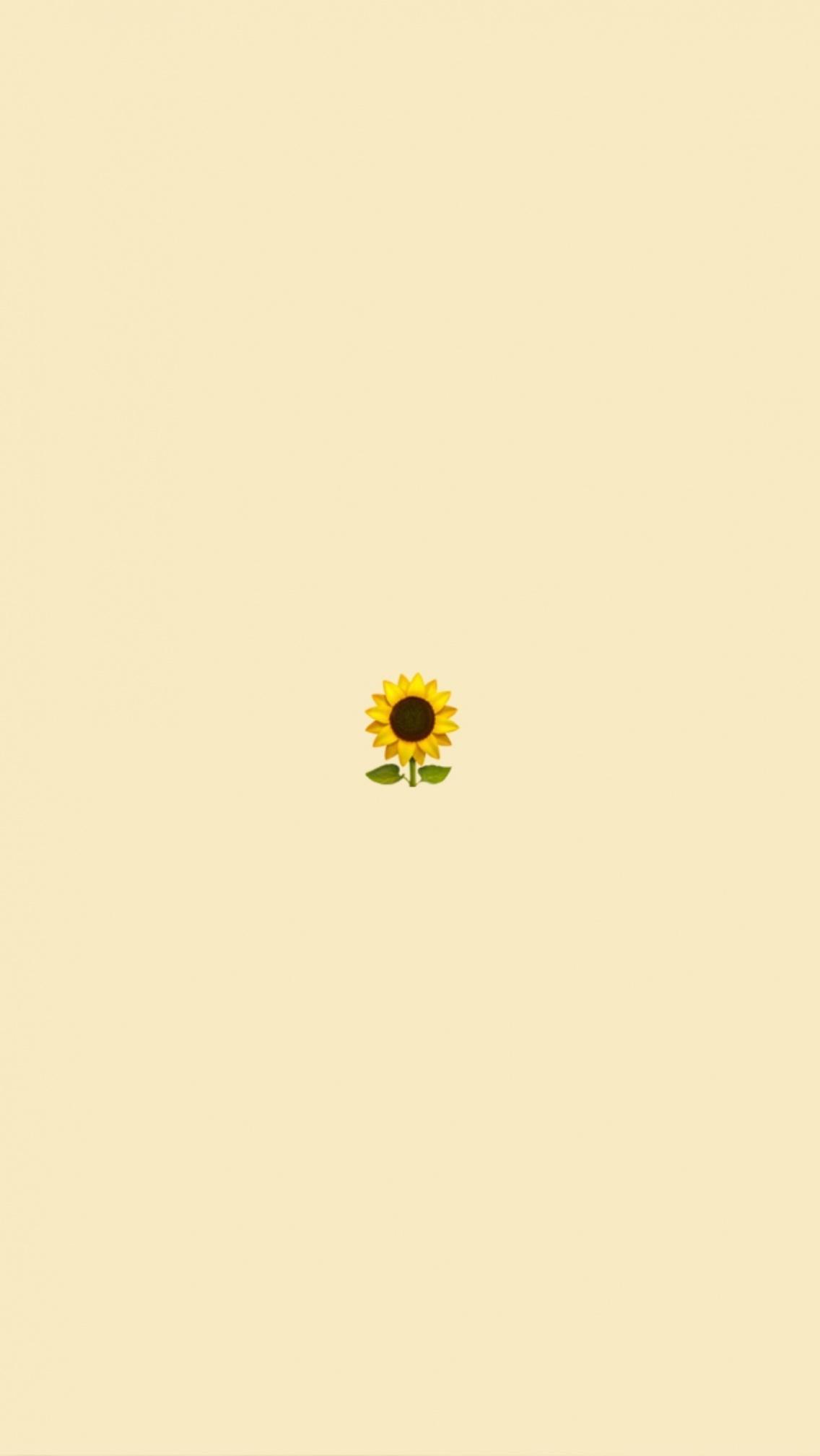 1136x2017 VSCO Girl iPad
