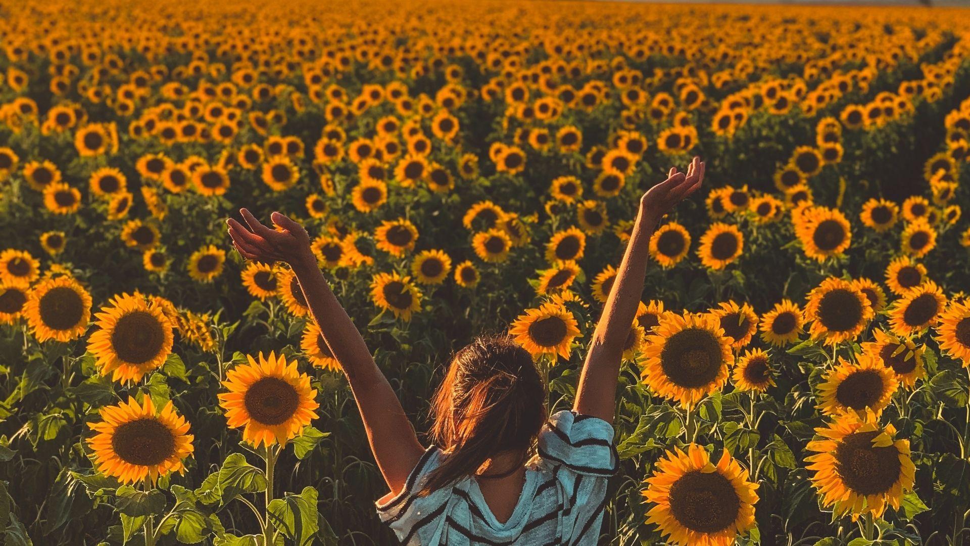 1920x1080 Desktop wallpaper sunny day, sunflowers, farm, woman, HD image, picture, background, 3a3a0a