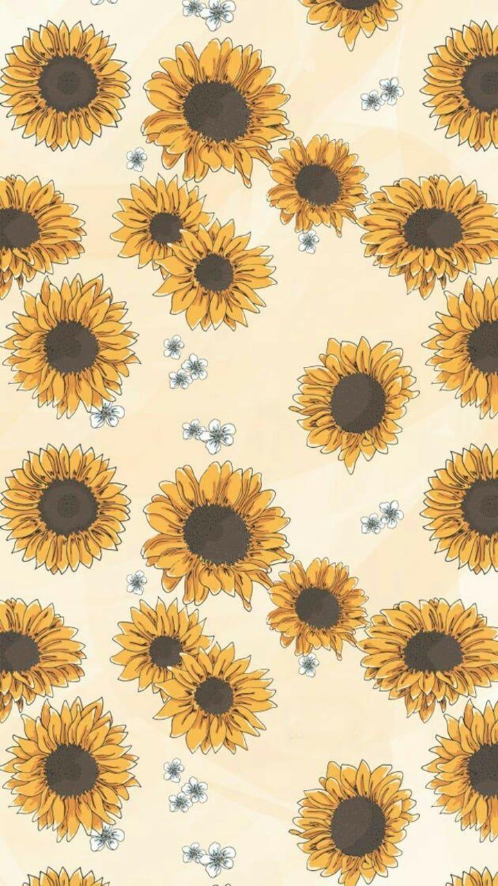 720x1280 Dog Aesthetic Sunflower Wallpaper on .wallpaper.dog