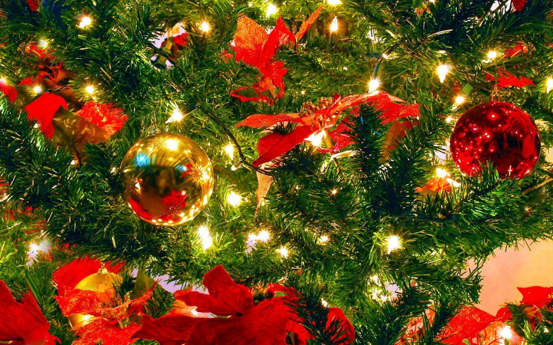 1920x1200 Christmas Decorations Wallpaper on .wallpaper.dog