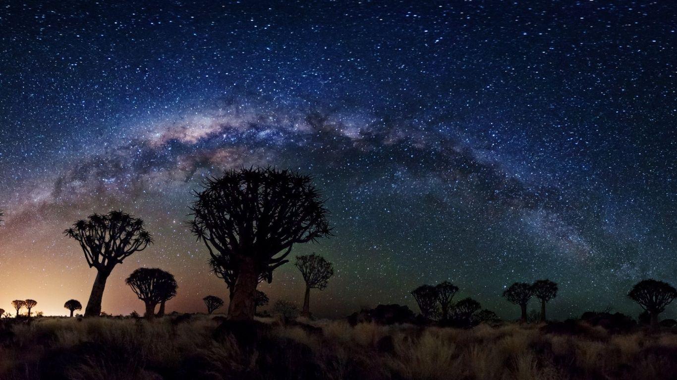 1366x768 Milky Way Over Quiver Tree .