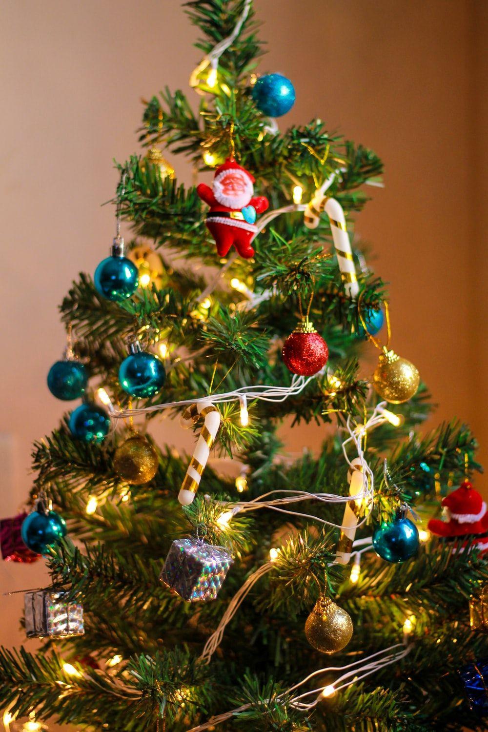 1000x1500 Merry Xmas Picture. Download Free .com