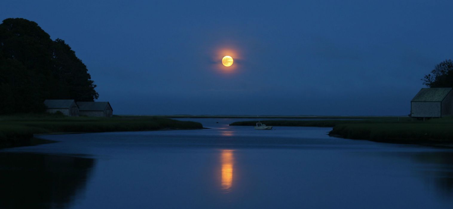 1516x700 Trees river night blue sky moon .