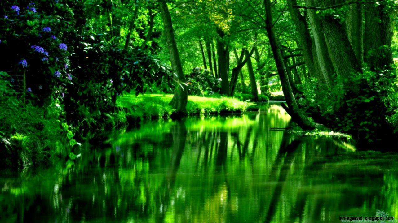 Green River Wallpapers - Top Free Green River Backgrounds - WallpaperAccess