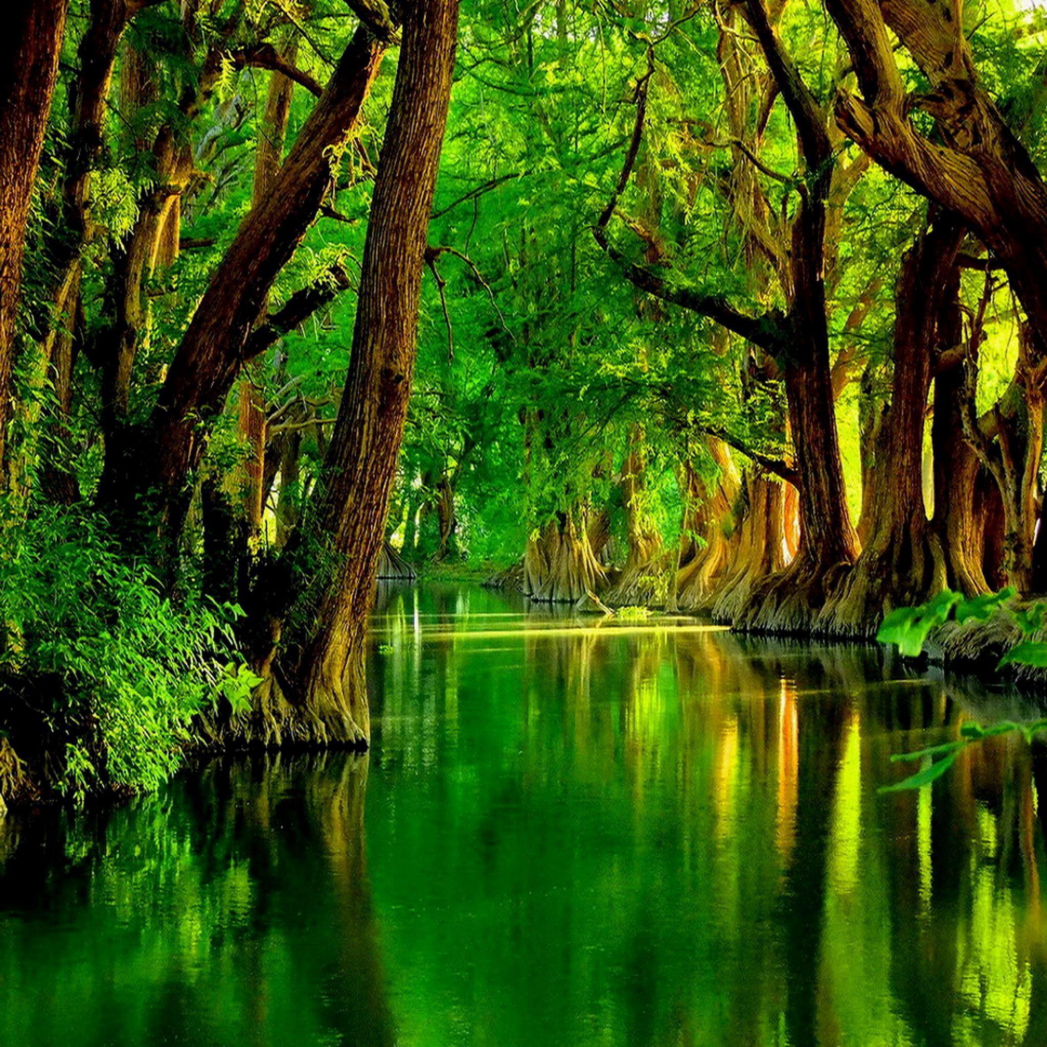 Green River Wallpapers Top Free Green River Backgrounds Wallpaperaccess