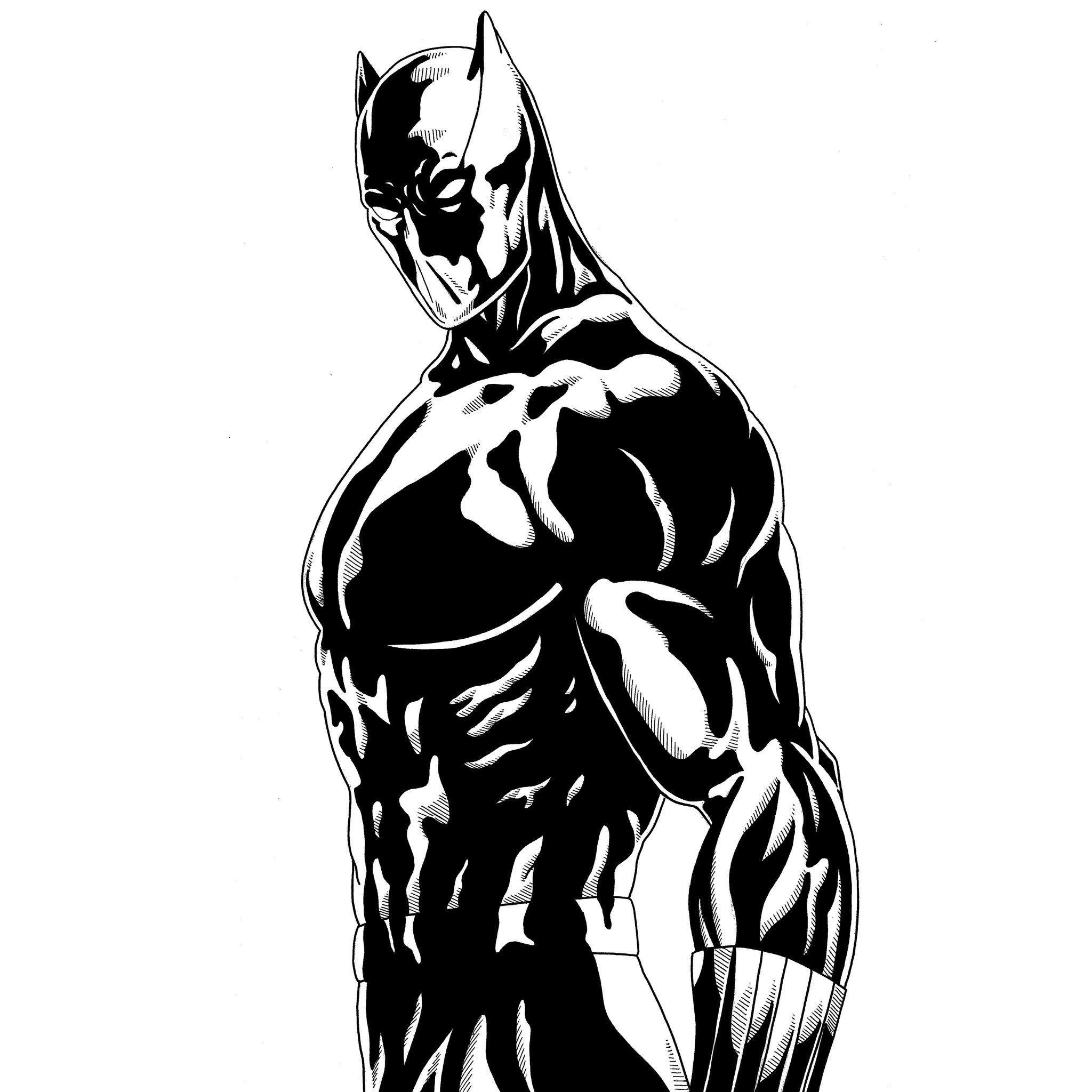  White  and Black  Panther  Wallpapers  Top Free White  and 