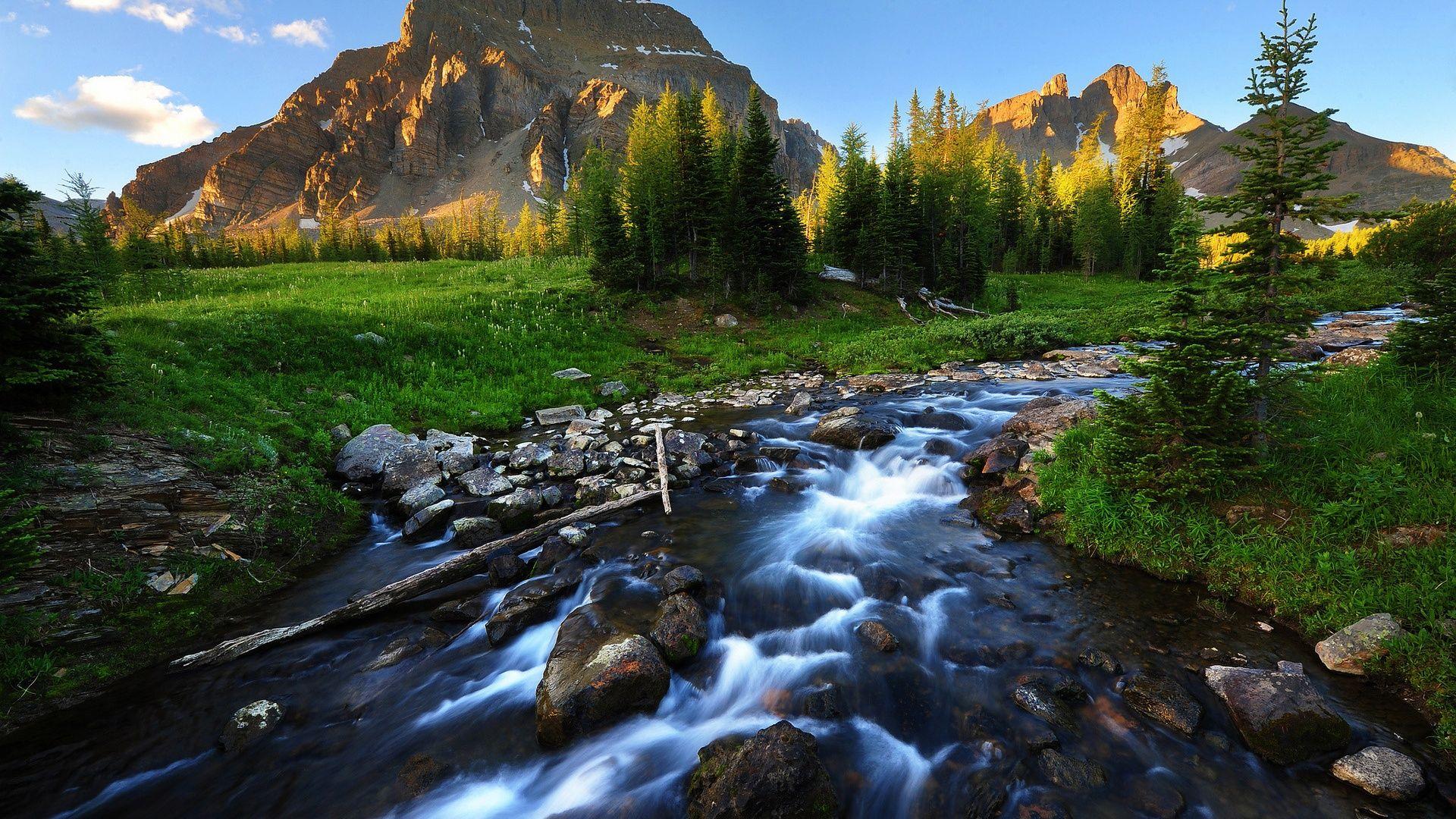 1920x1080 river wallpaper green Desktop .hddesktopwallpaper.in