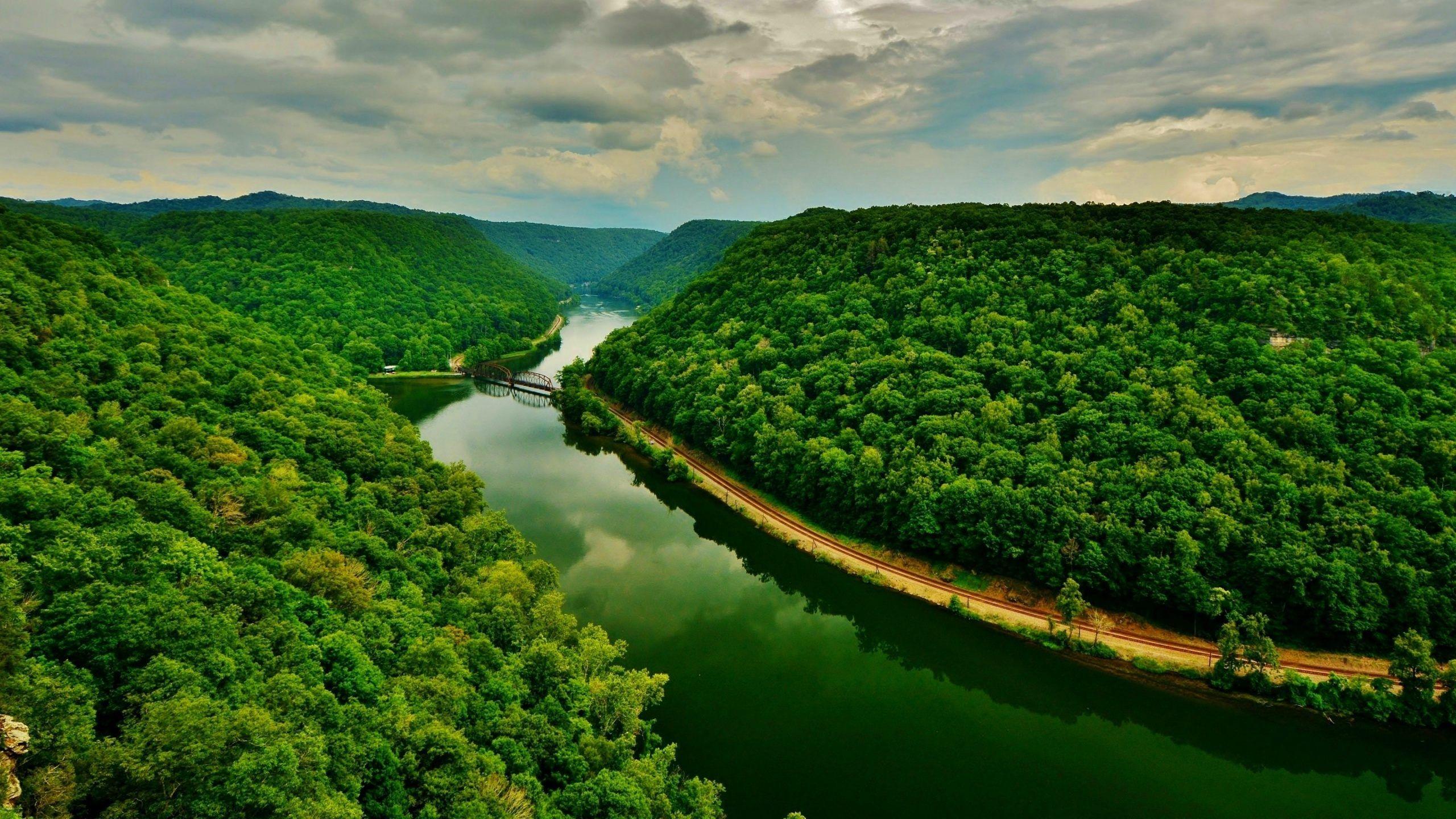2560x1440 Download Cool Green Wallpaper Without .selfgrowth.info