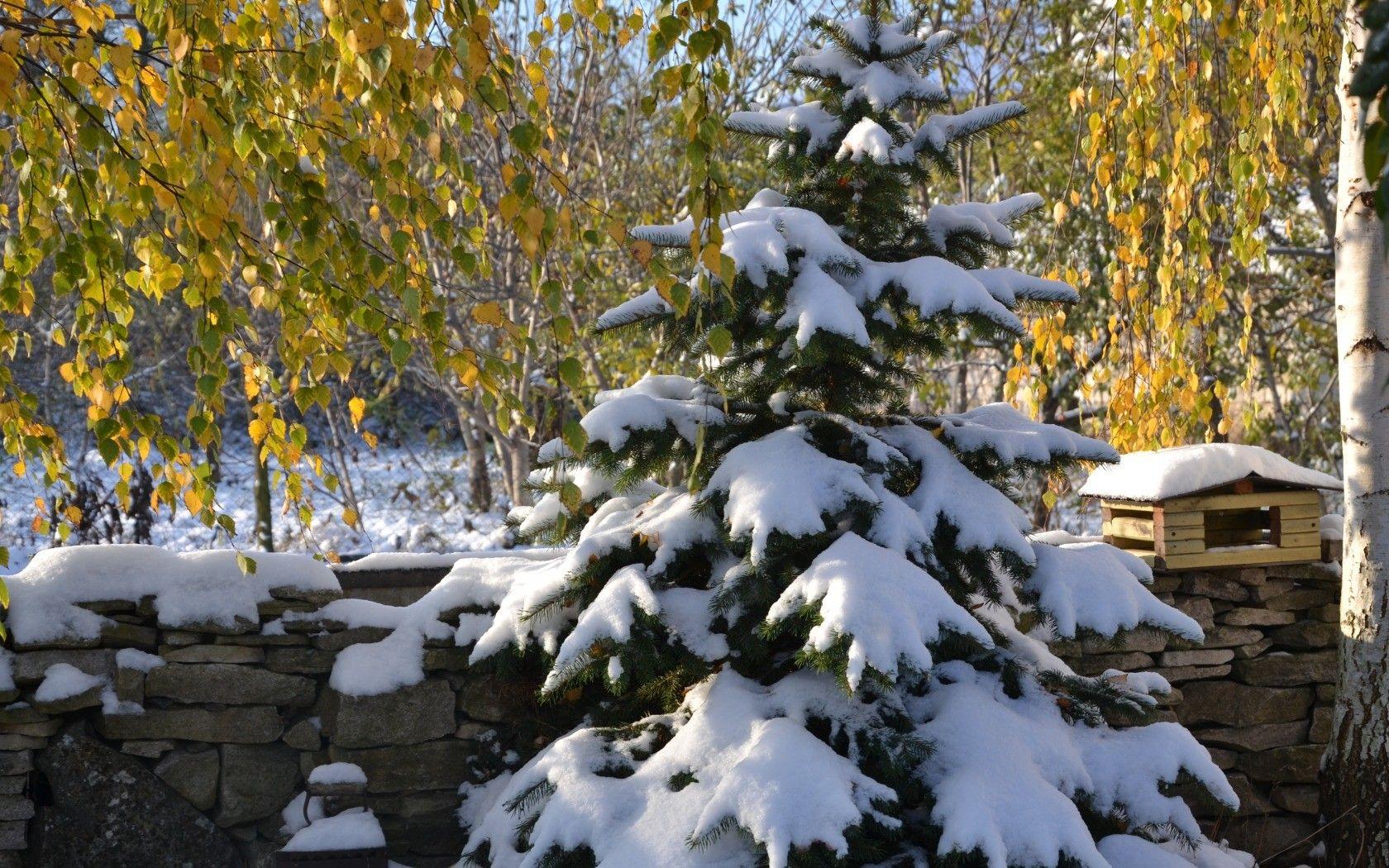 1680x1050 Winter: Sunshine Winter Nature Trees Snow Fences Sunny Landscape
