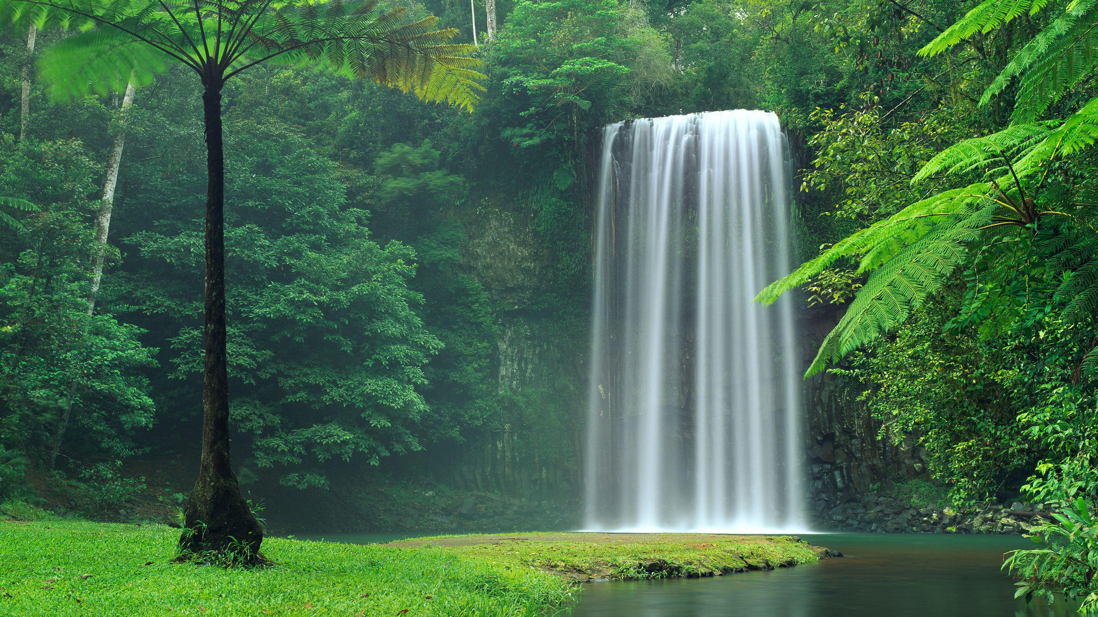 3840x2160 Mystic forest waterfall wallpaper wallpaper