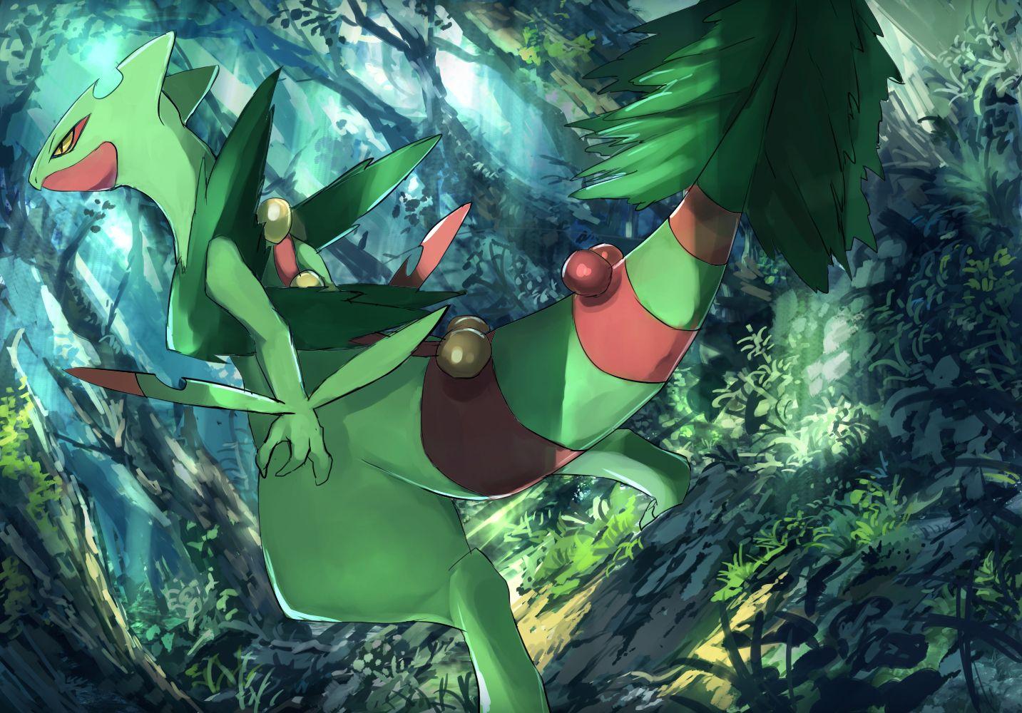 Pokemon Sceptile Wallpapers - Top Free Pokemon Sceptile Backgrounds 