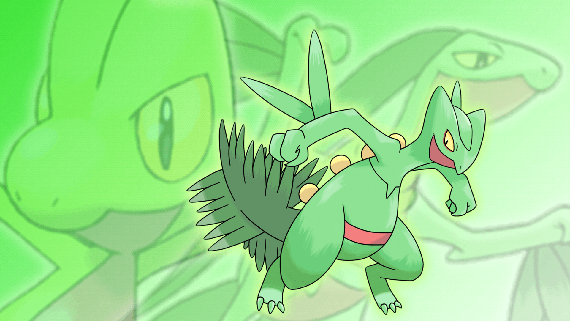 Sceptile HD Wallpapers  Wallpaper Cave