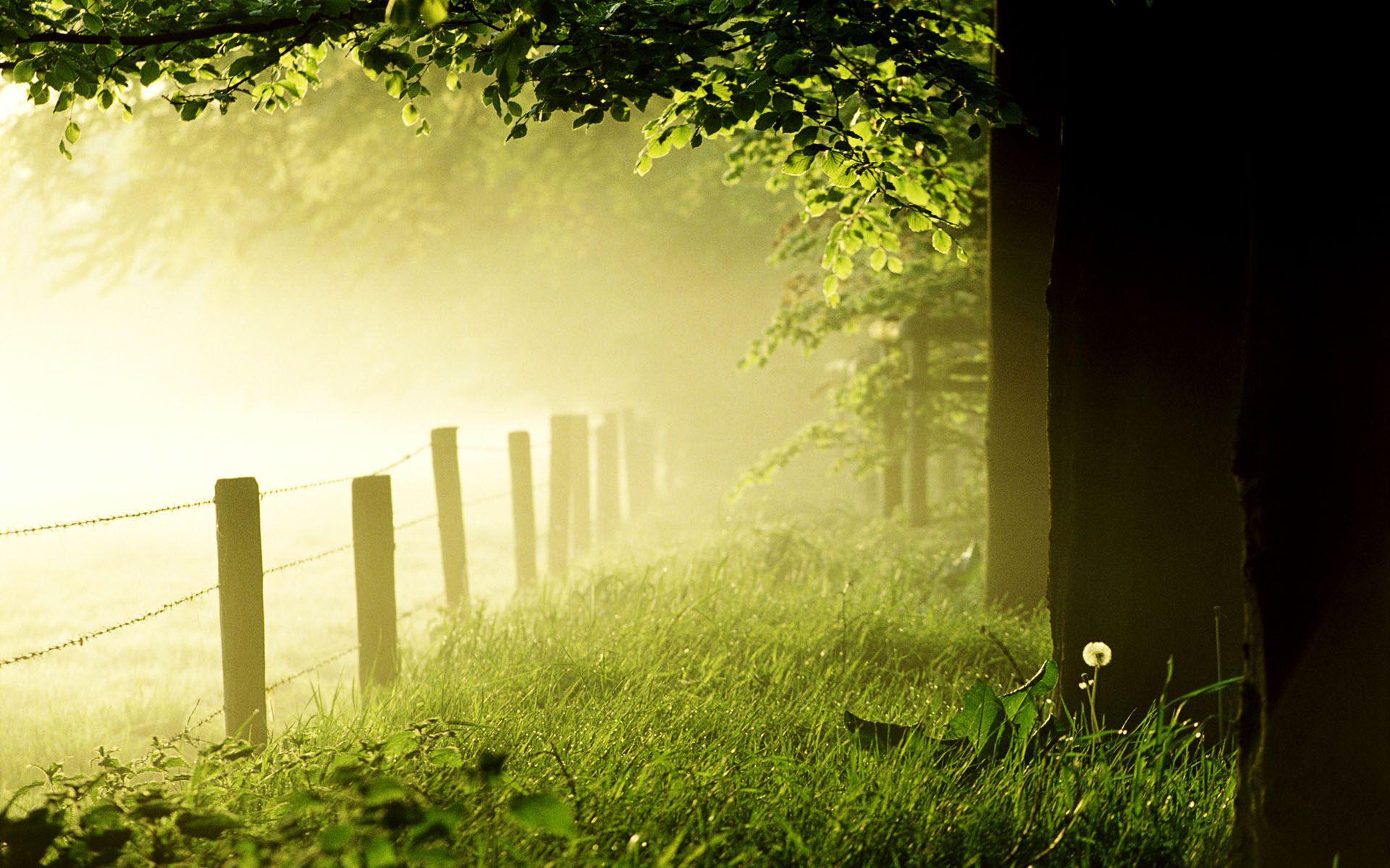 1920x1200 Sunny Day Wallpaper Free Download