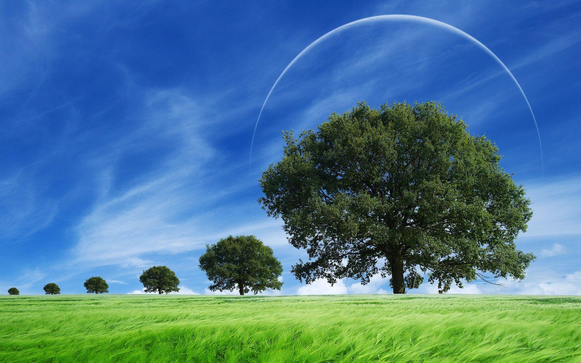 1920x1200 Nature & Landscape Sunny Breeze wallpaper Desktop, Phone, Tablet