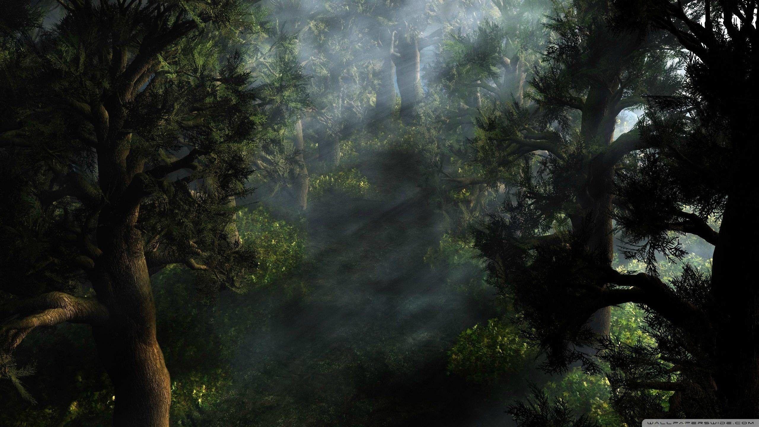 2560x1440 Mystical Scenery .17QQ.comline.
