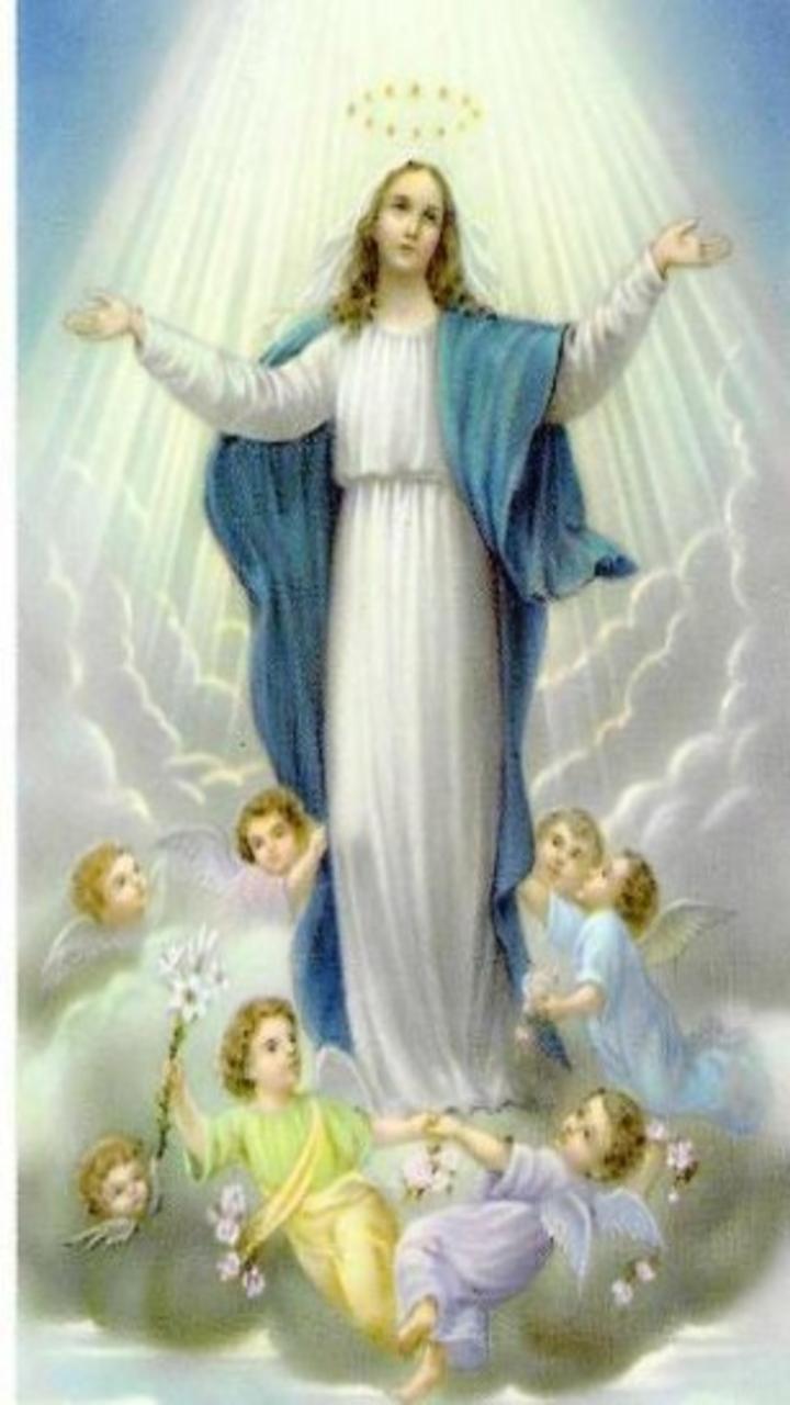 720x1280 Mary iPhone Wallpaperwallpaper.dog