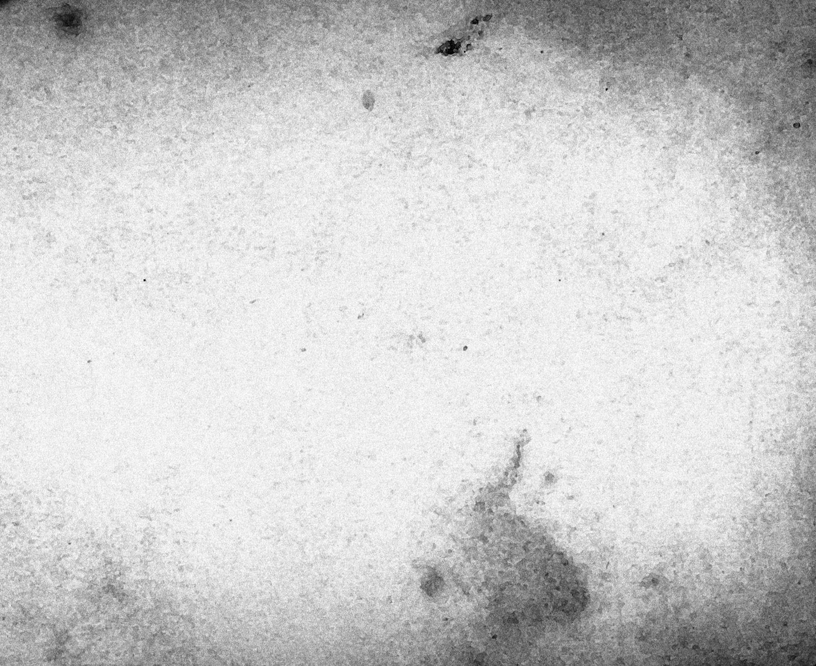 1600x1307 Most viewed Grunge wallpaperK .