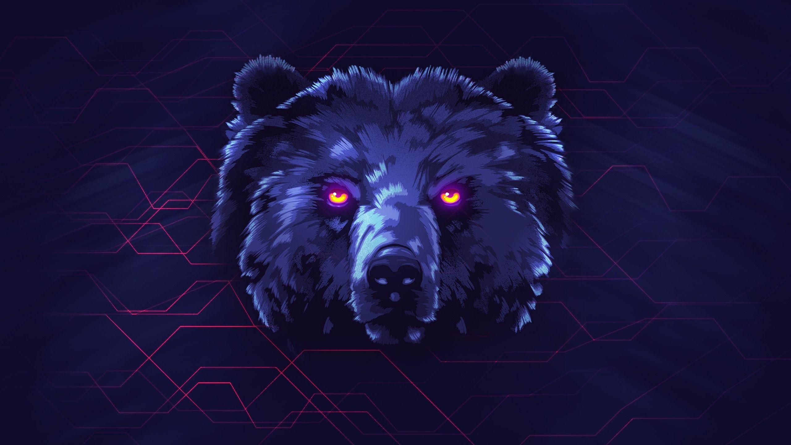 2560x1440 bear wallpaper Bear HD .amp.