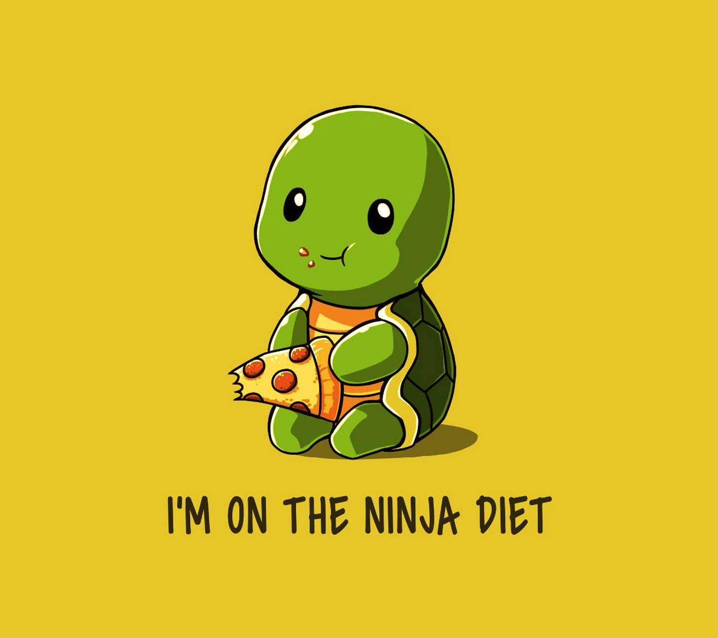 1440x1280 Turtle wallpaper