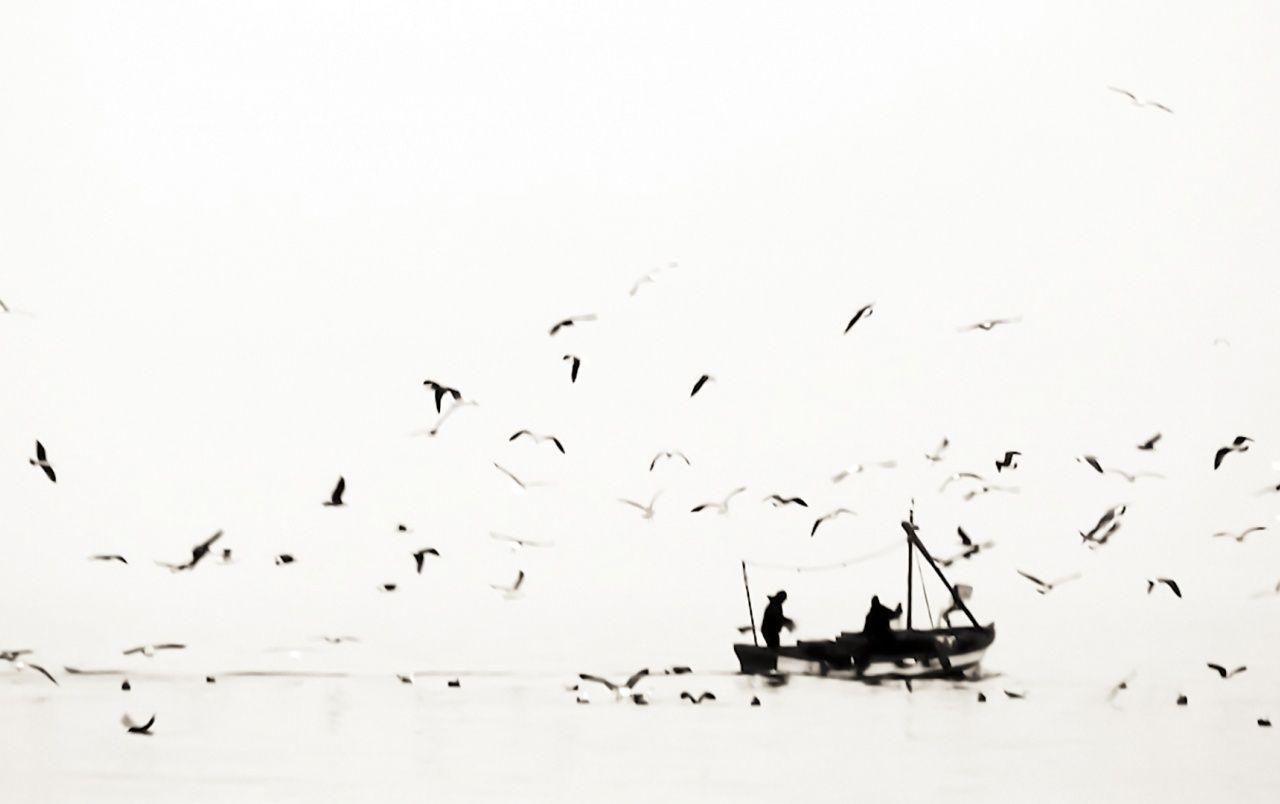 1280x804 Fishermen at Sea wallpaper. Fishermen .