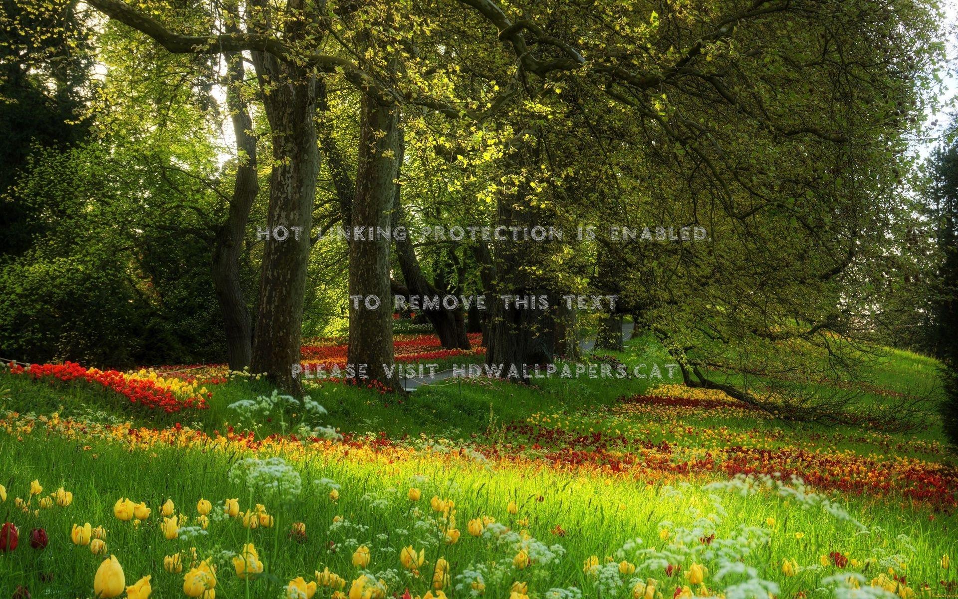 1920x1200 park of flowers landscape cool beauty nicehdwallpaper.cat