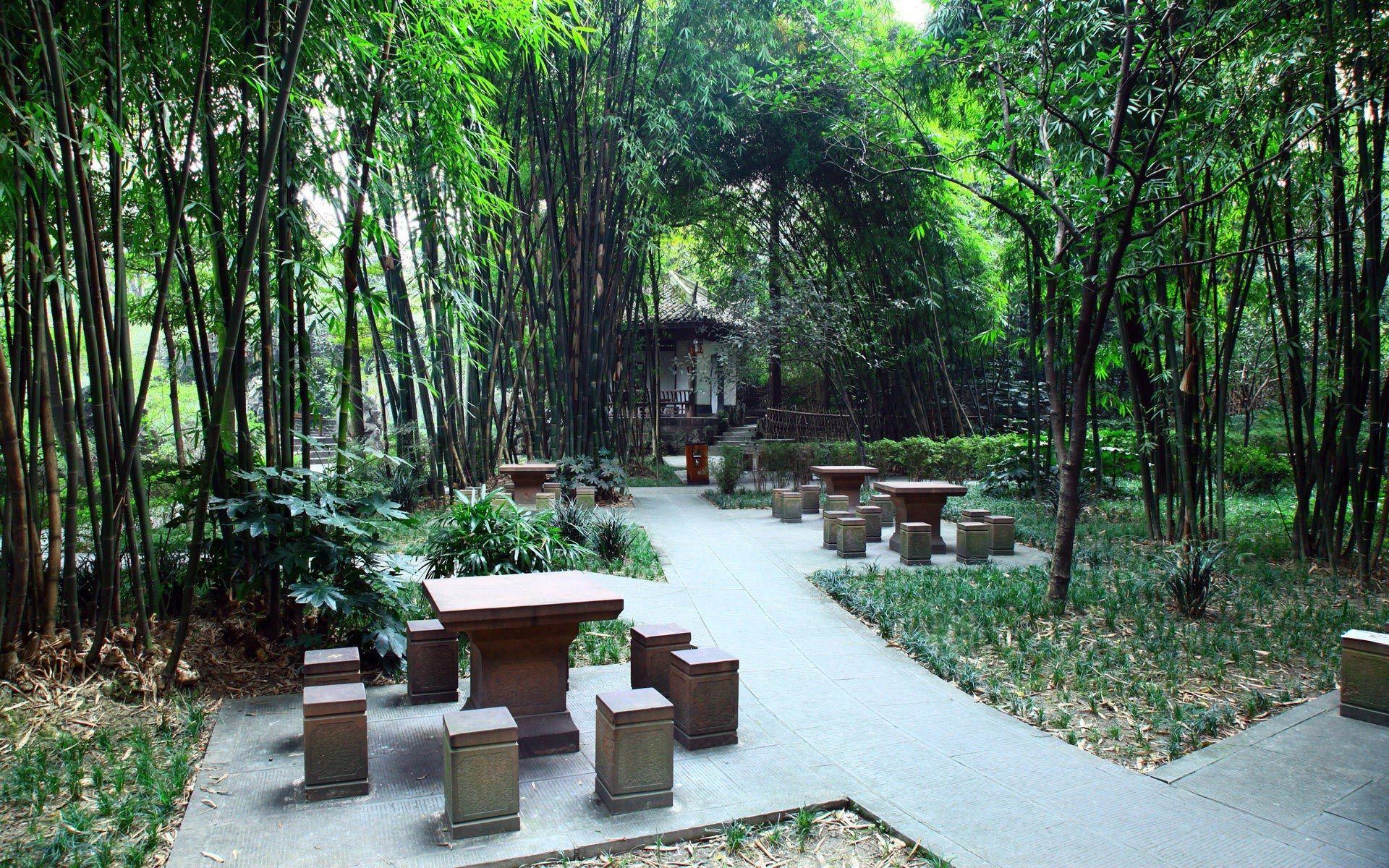 1920x1200 Garden