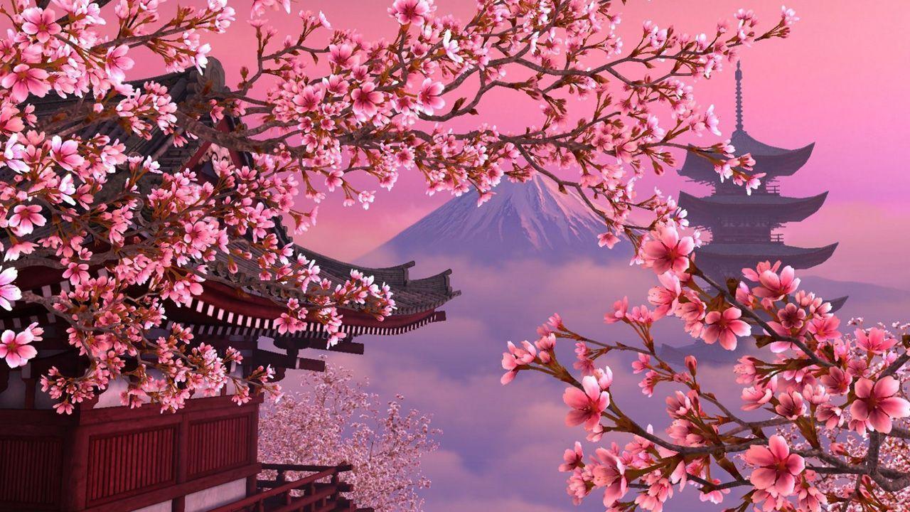 1280x720 Laptops Aesthetic Cherry Wallpaper on .wallpaper.dog