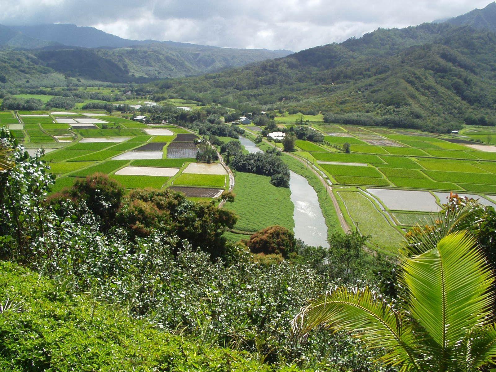 1600x1200 Hanalei