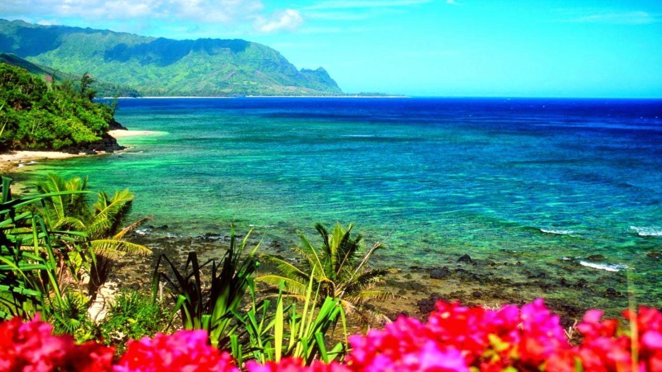 Hanalei Wallpapers - Top Free Hanalei Backgrounds - WallpaperAccess