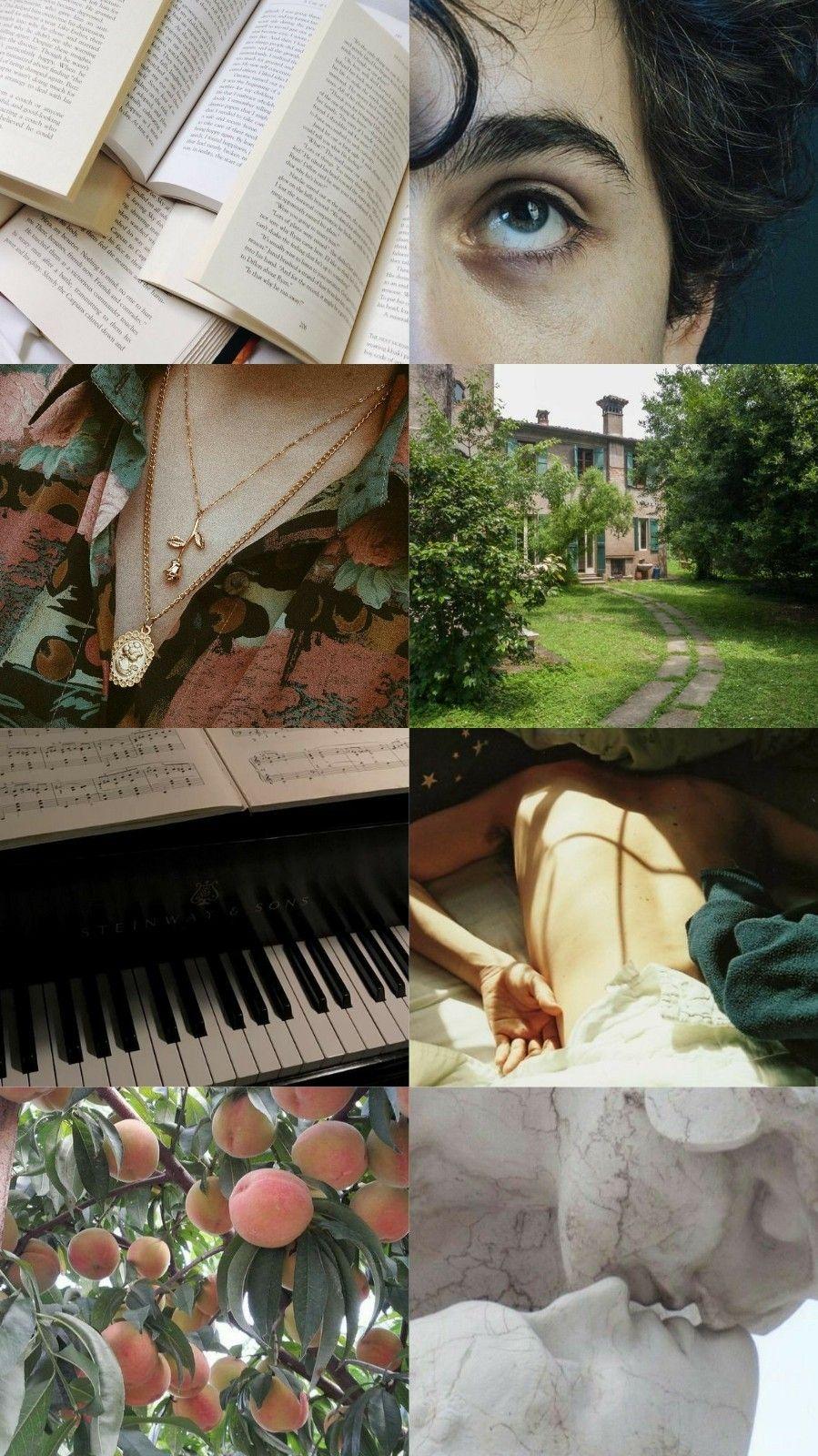 Call Me By Your Name Aesthetic Wallpapers - Top Free Call Me By Your Name  Aesthetic Backgrounds - WallpaperAccess