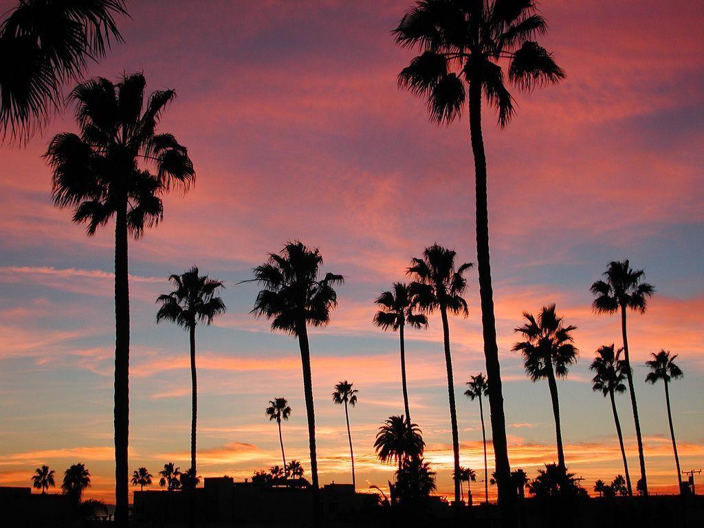 1024x768 California Beach Wallpaperwallpaper.dog