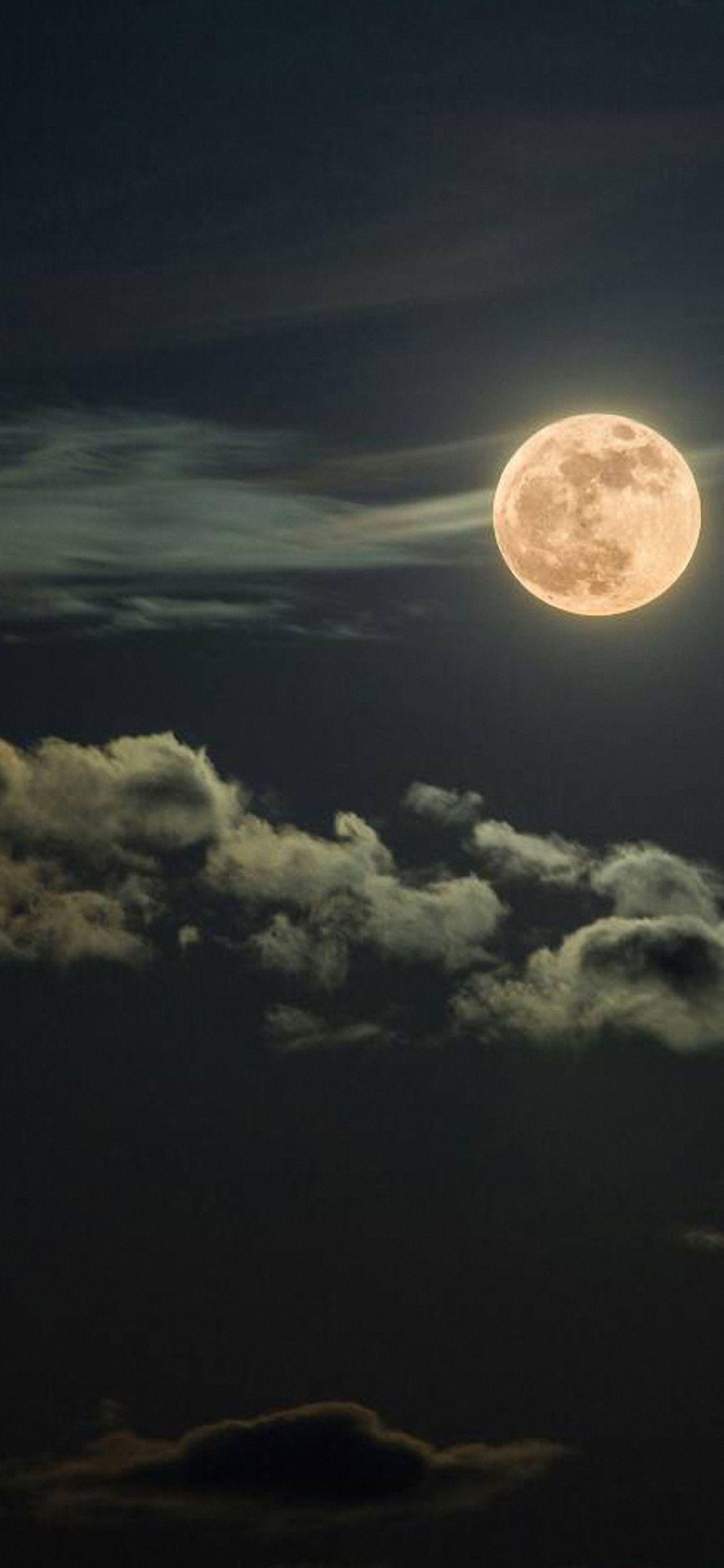 1125x2436 Tải xuống miễn phí galaxy s6 HD 1440x2560 https://wallpaperaccess.com/full/5365703.jpg