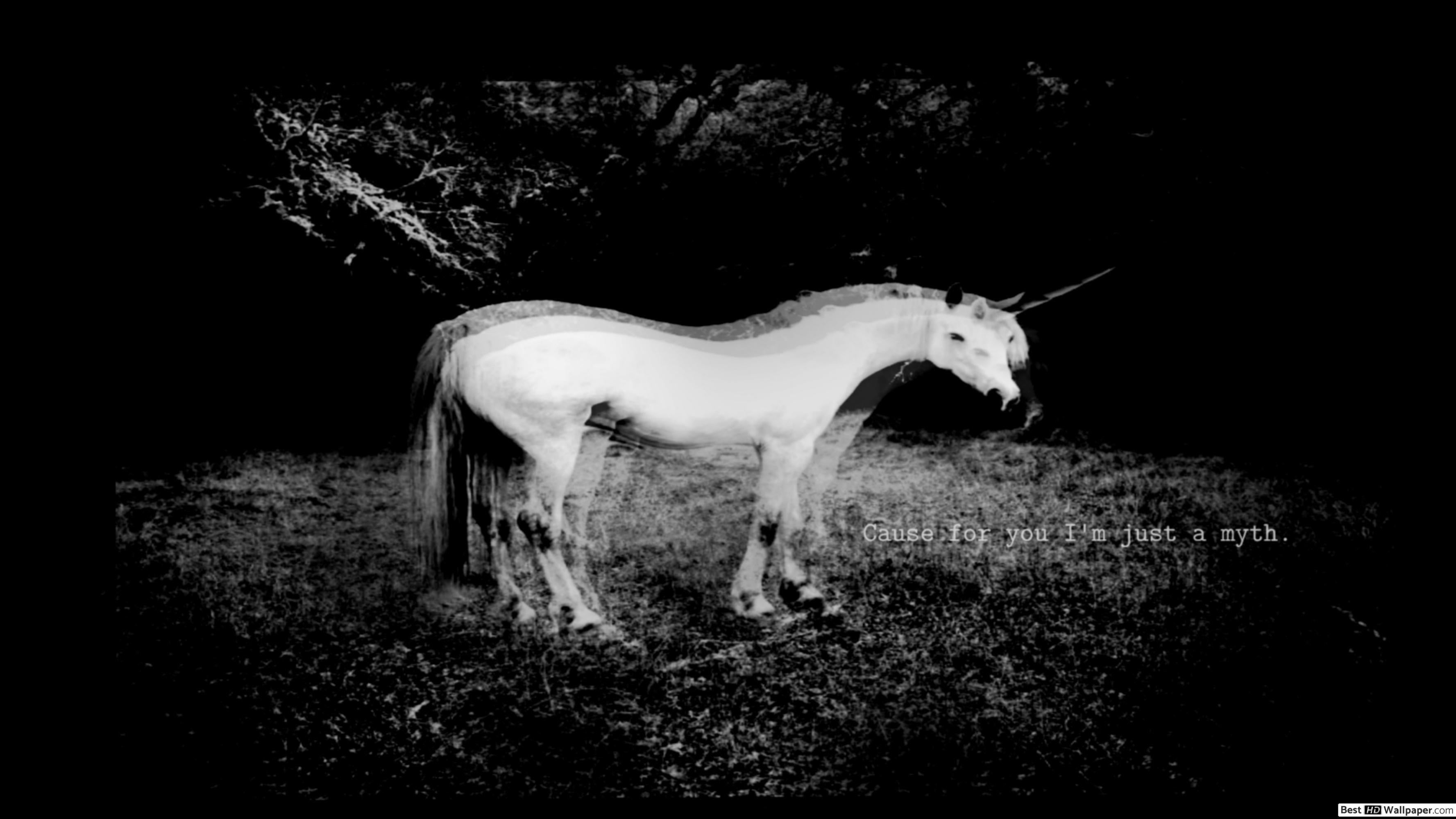 3554x1999 Dark unicorn HD wallpaper download